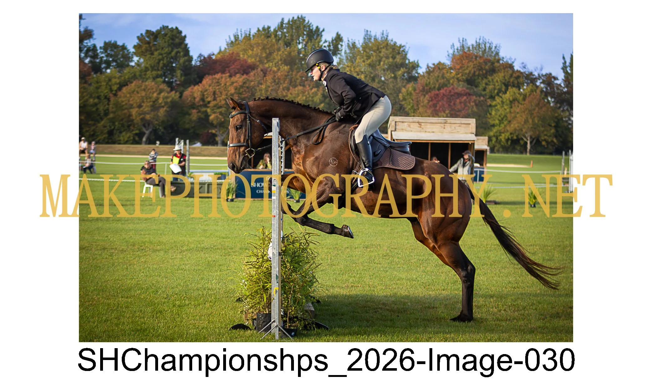 showhunter 2026-030.jpg