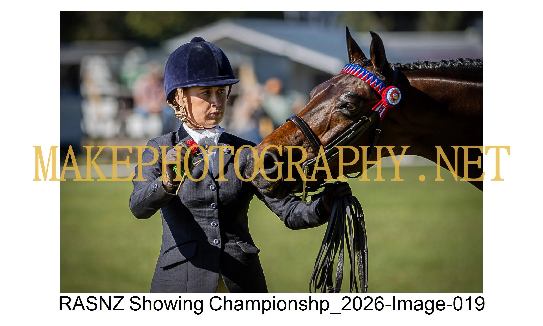 RASNZ Showing Championship 2026-19.jpg
