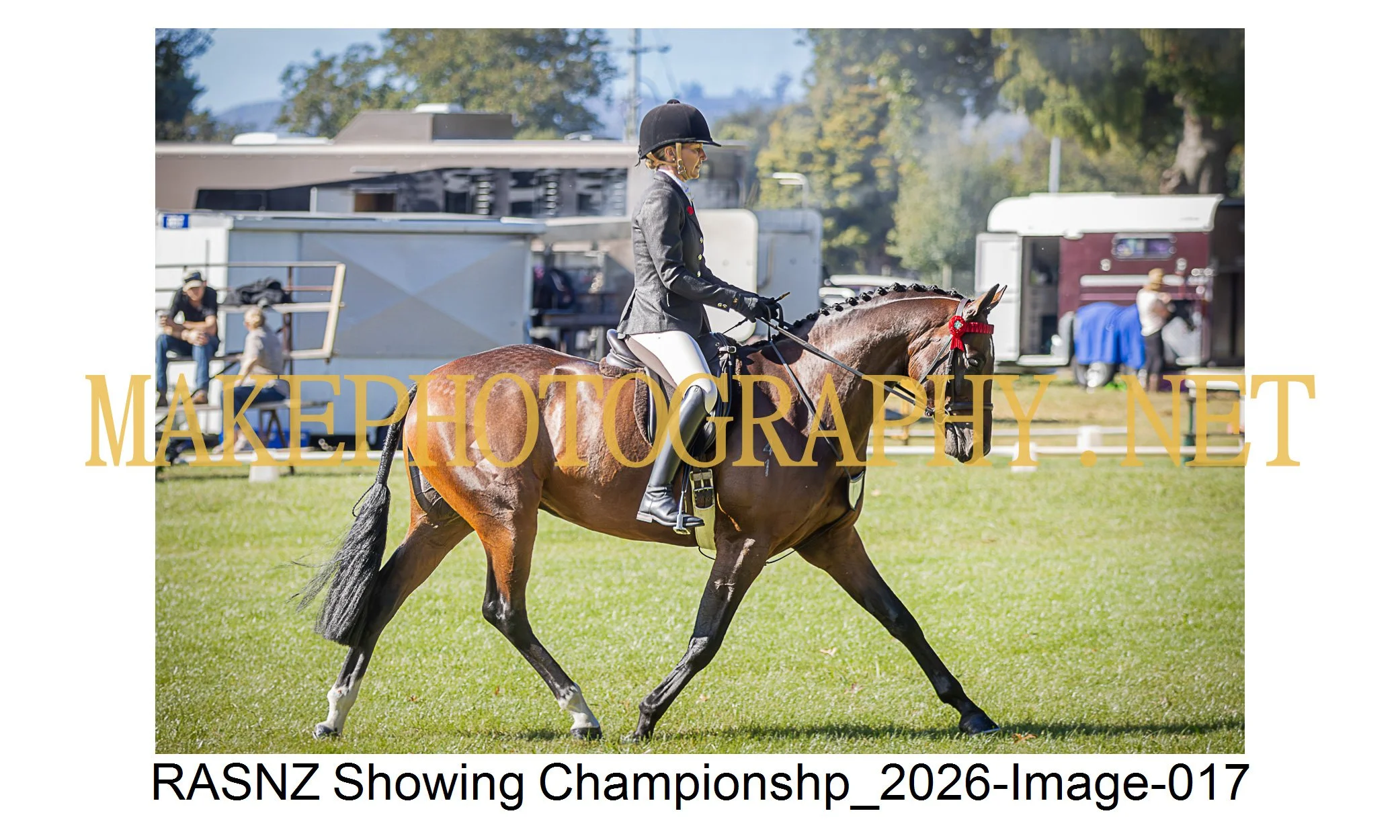 RASNZ Showing Championship 2026-17.jpg