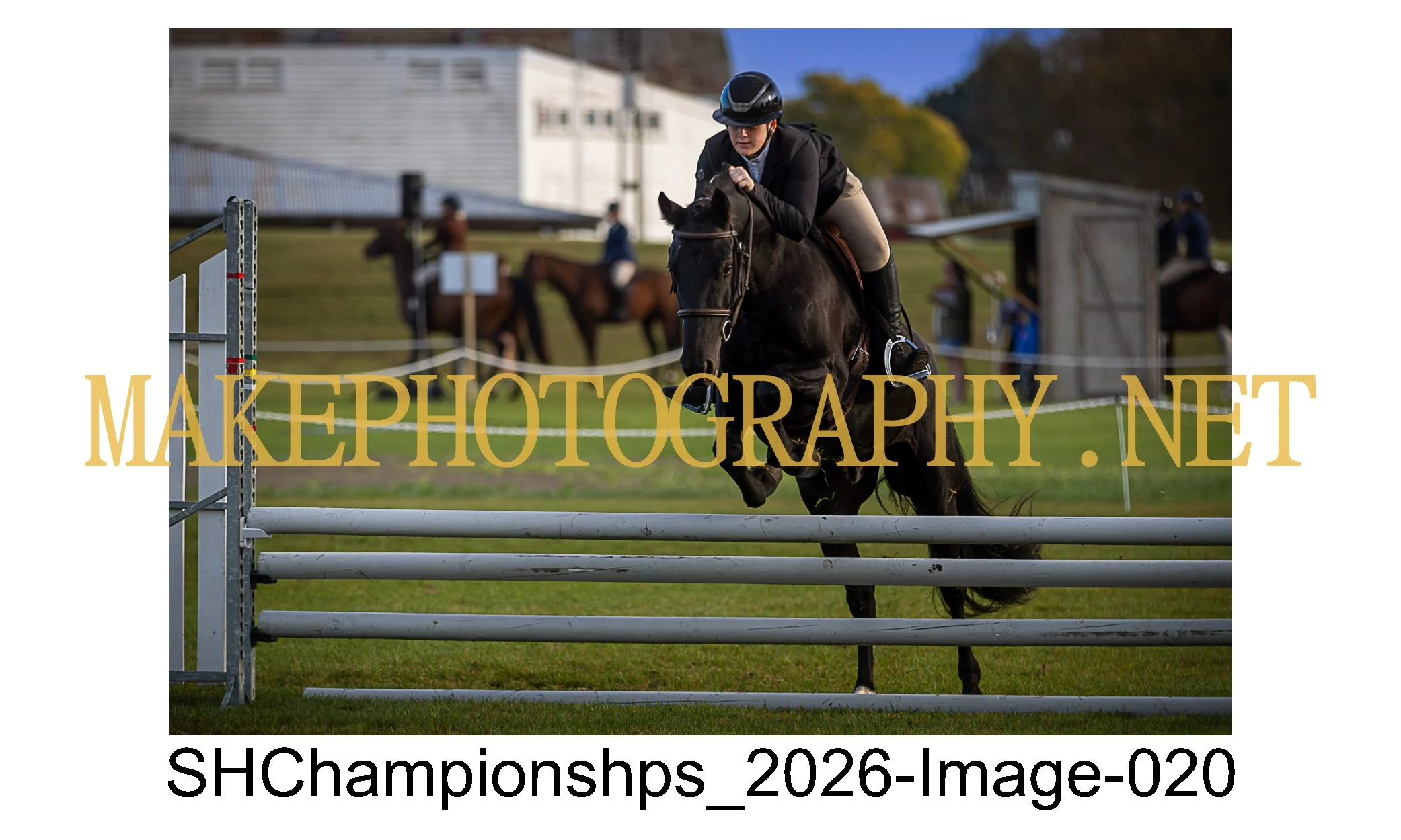 showhunter 2026-020.jpg