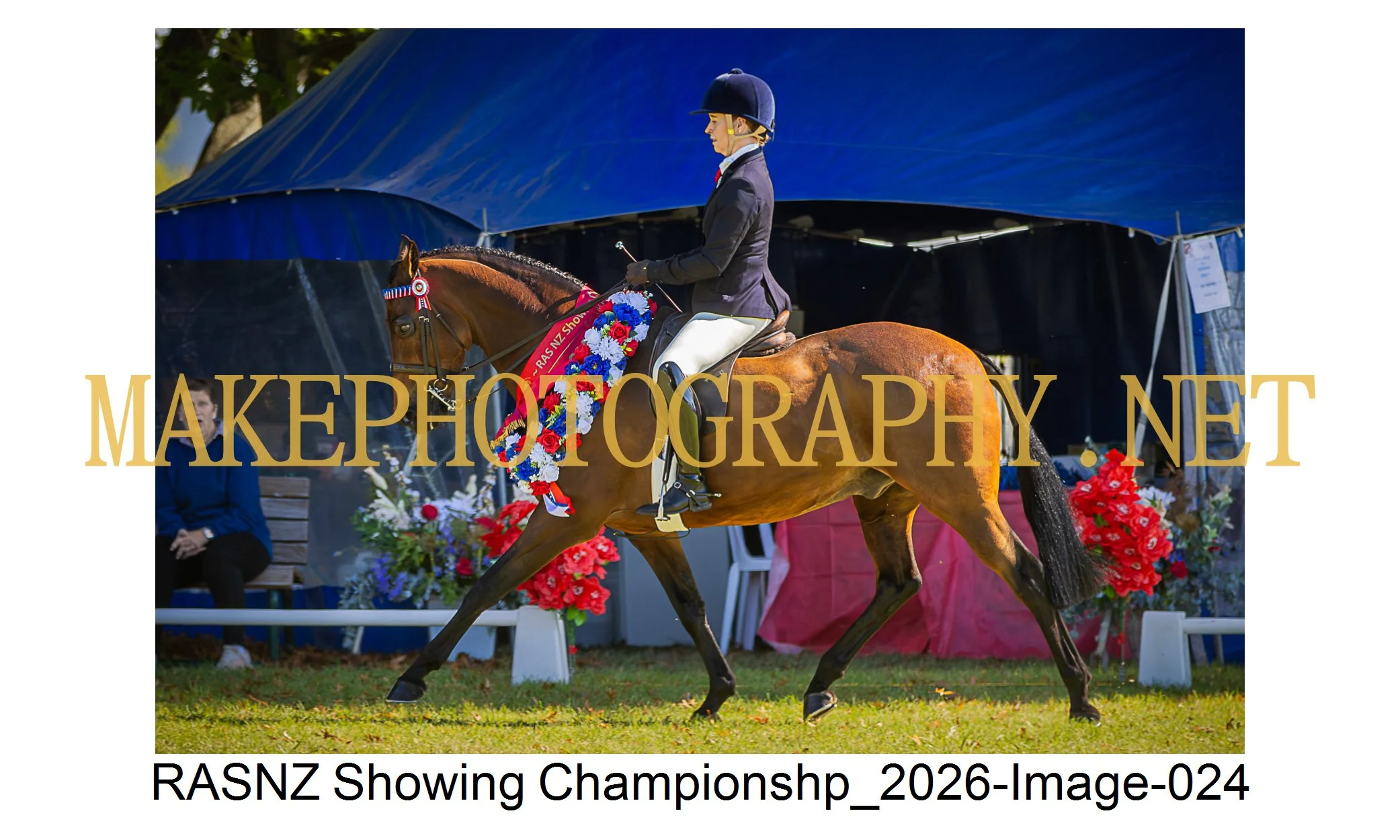 RASNZ Showing Championship 2026-24.jpg