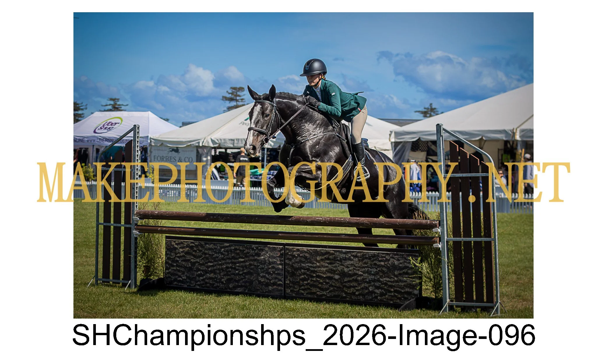 showhunter 2026-096.jpg