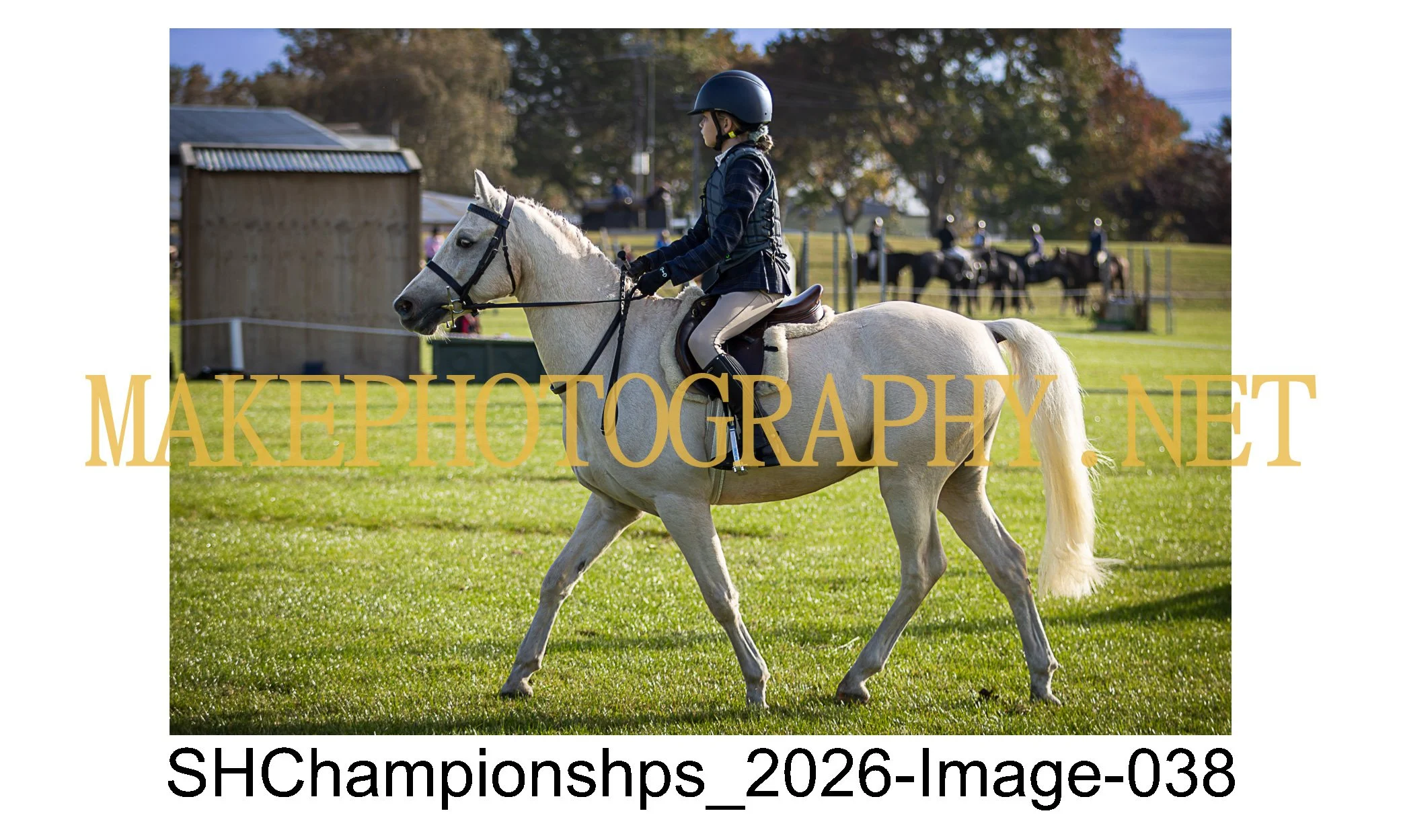 showhunter 2026-038.jpg