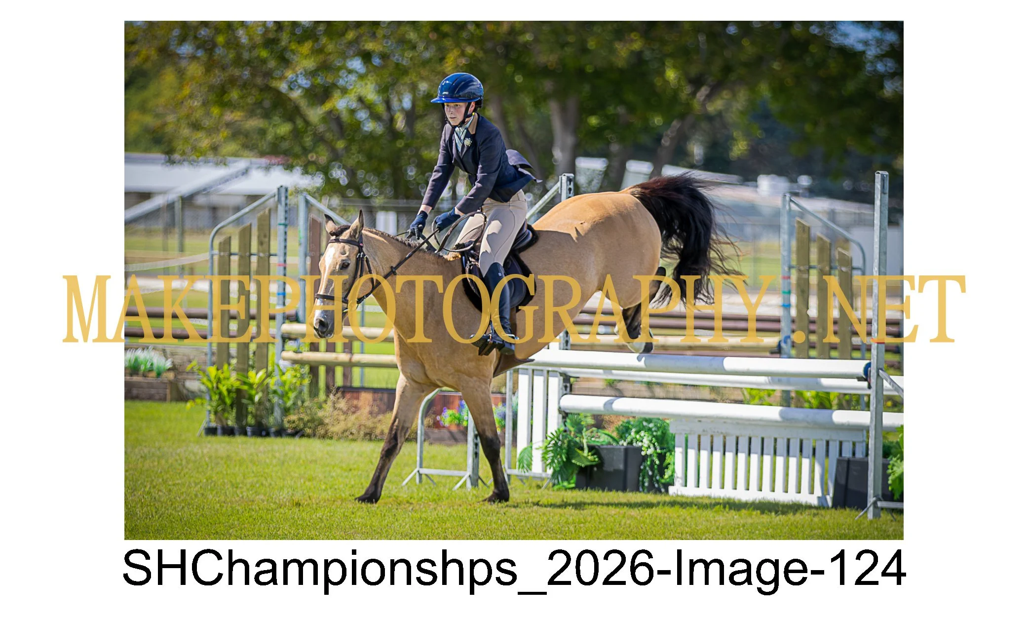 showhunter 2026-124.jpg