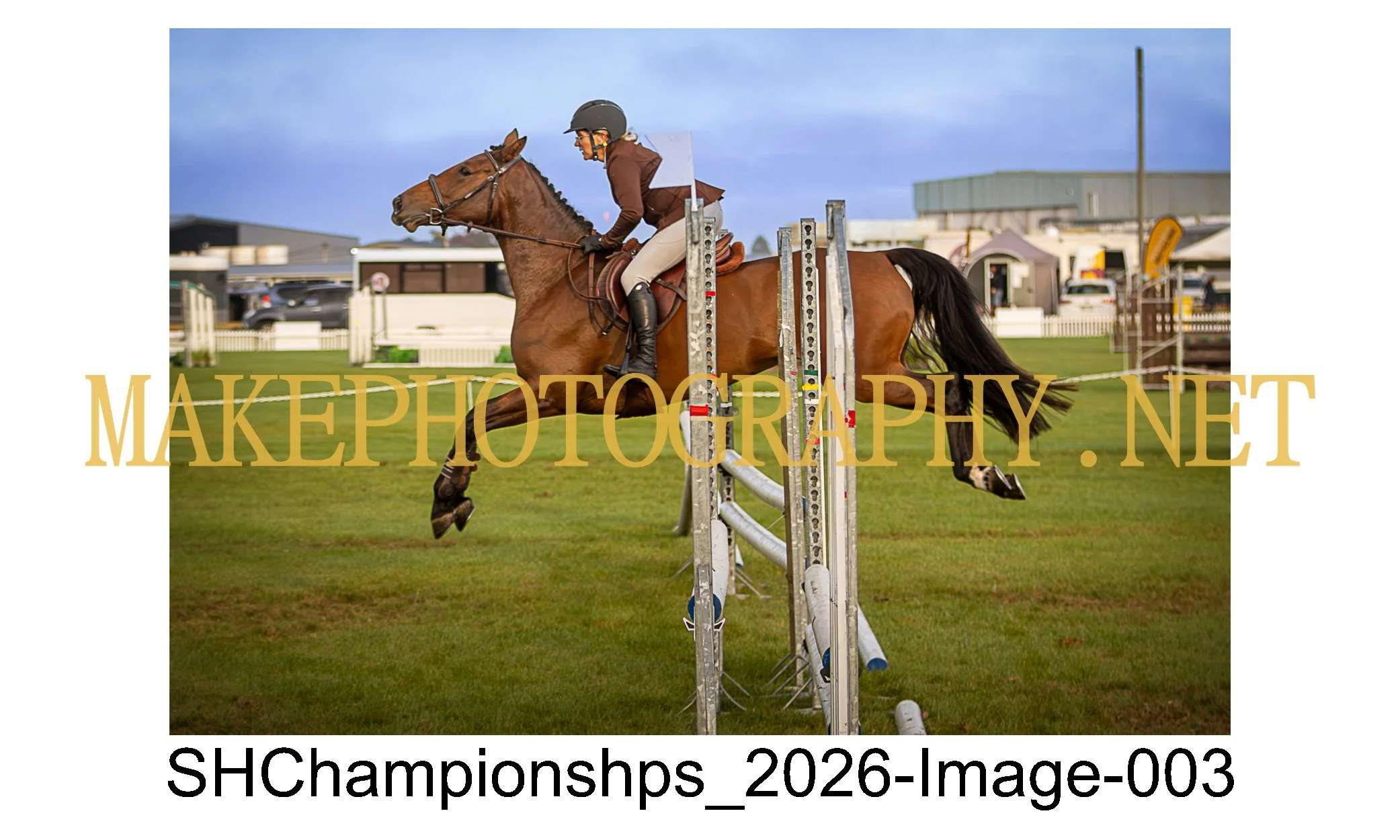 showhunter 2026-003.jpg