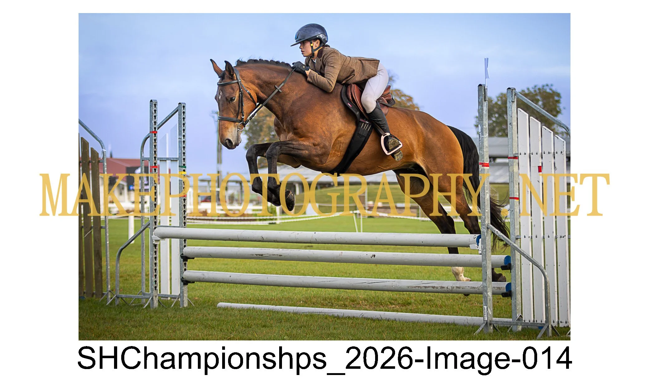 showhunter 2026-014.jpg