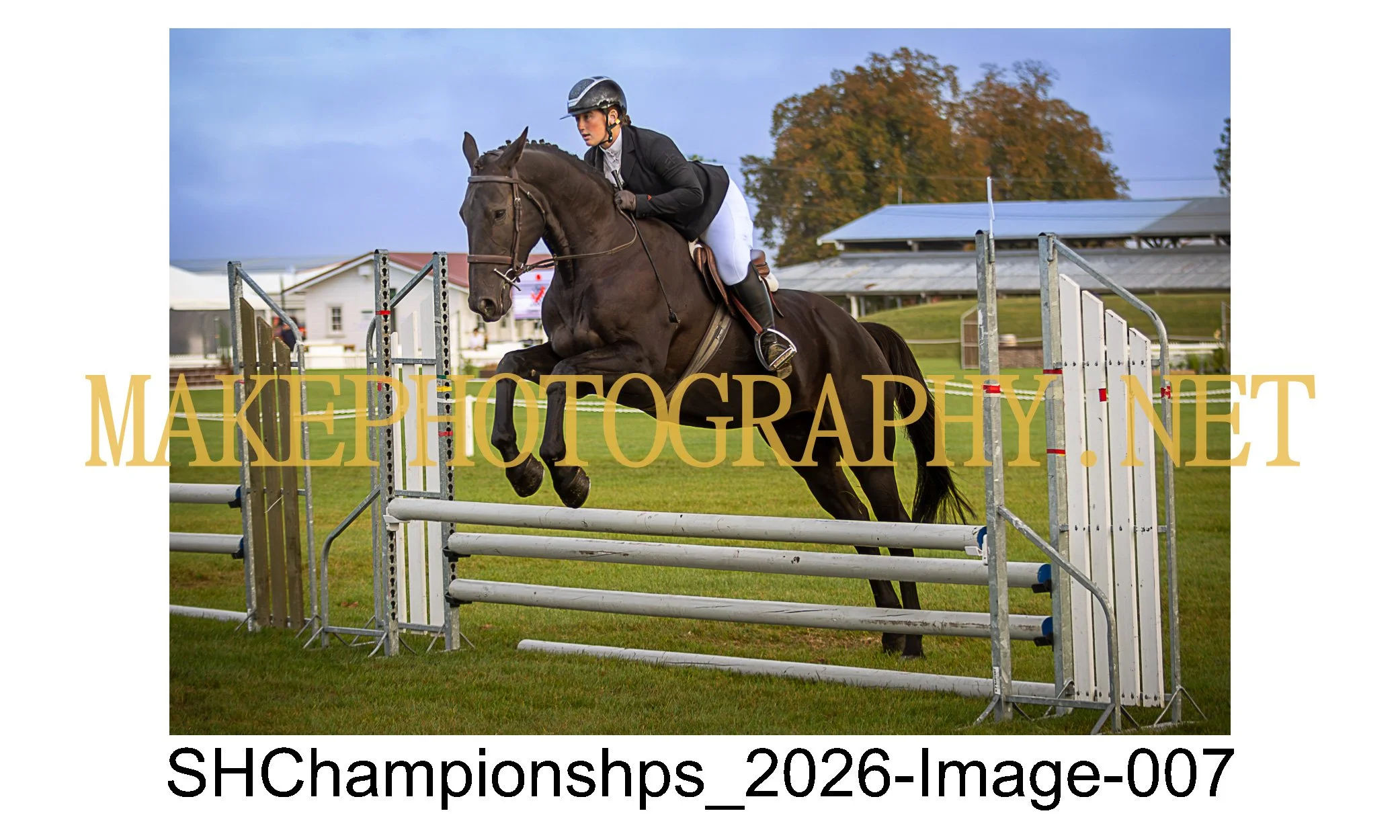 showhunter 2026-007.jpg