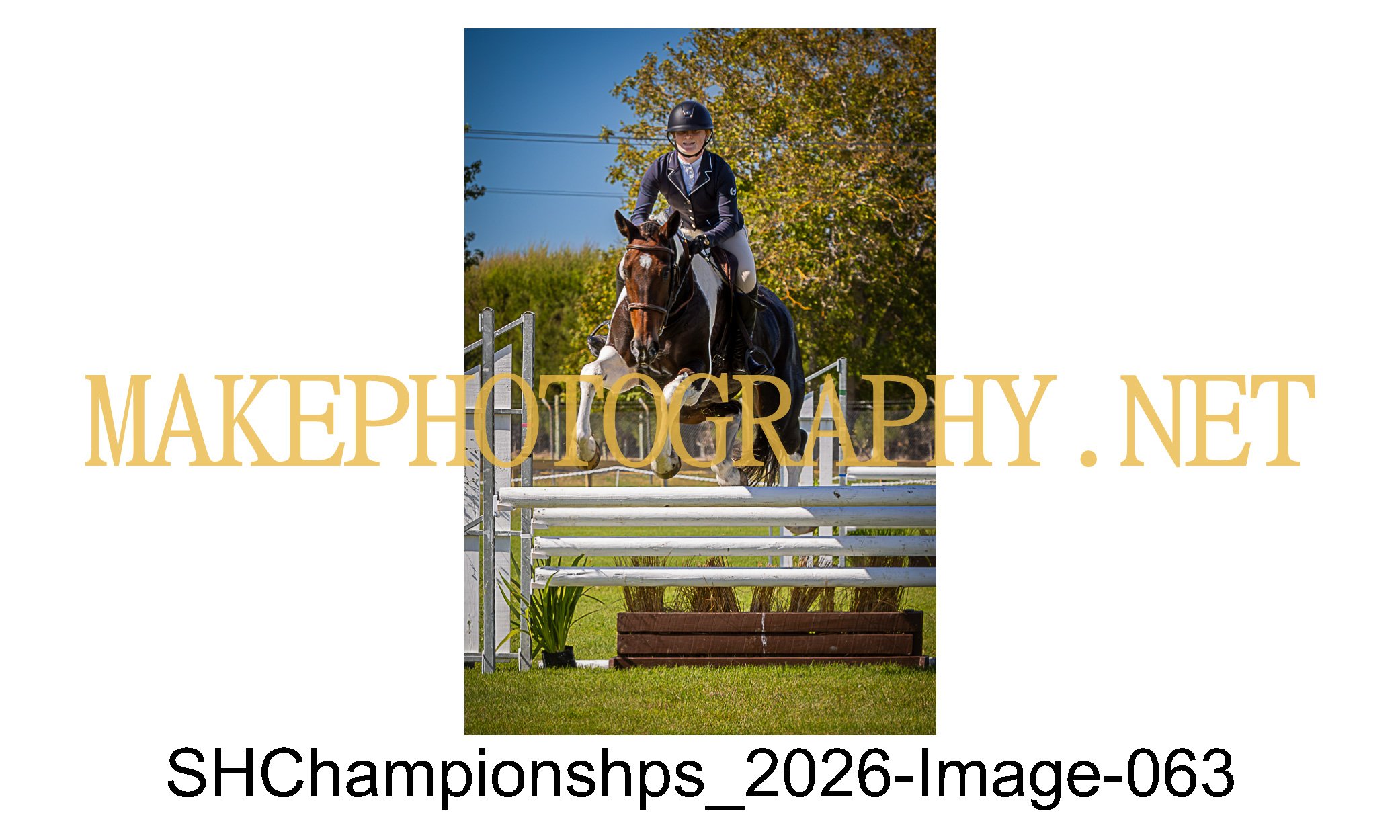 showhunter 2026-063.jpg