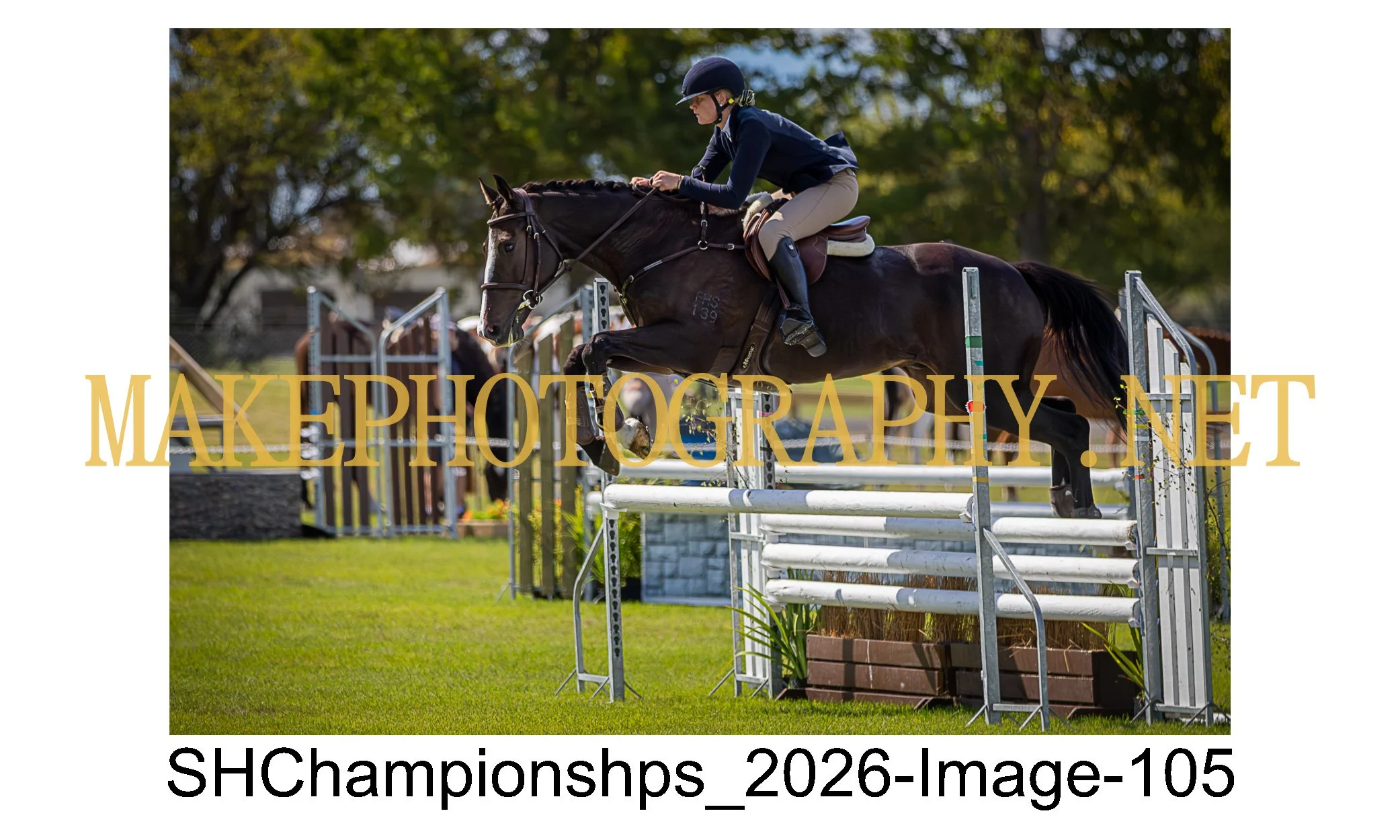 showhunter 2026-105.jpg