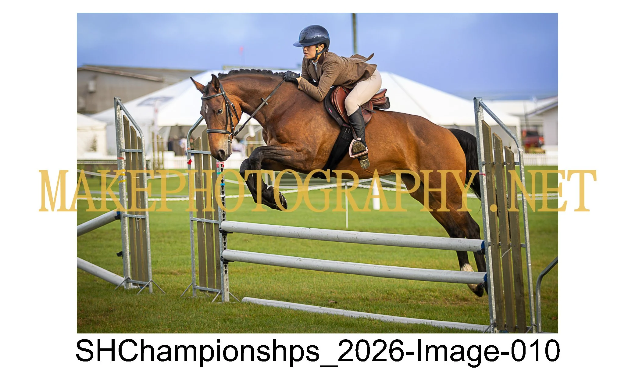 showhunter 2026-010.jpg