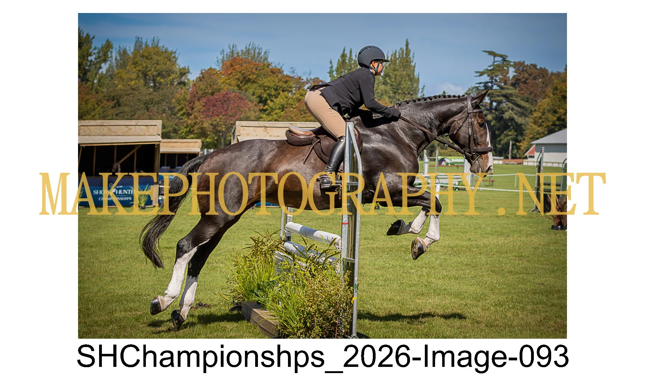 showhunter 2026-093.jpg