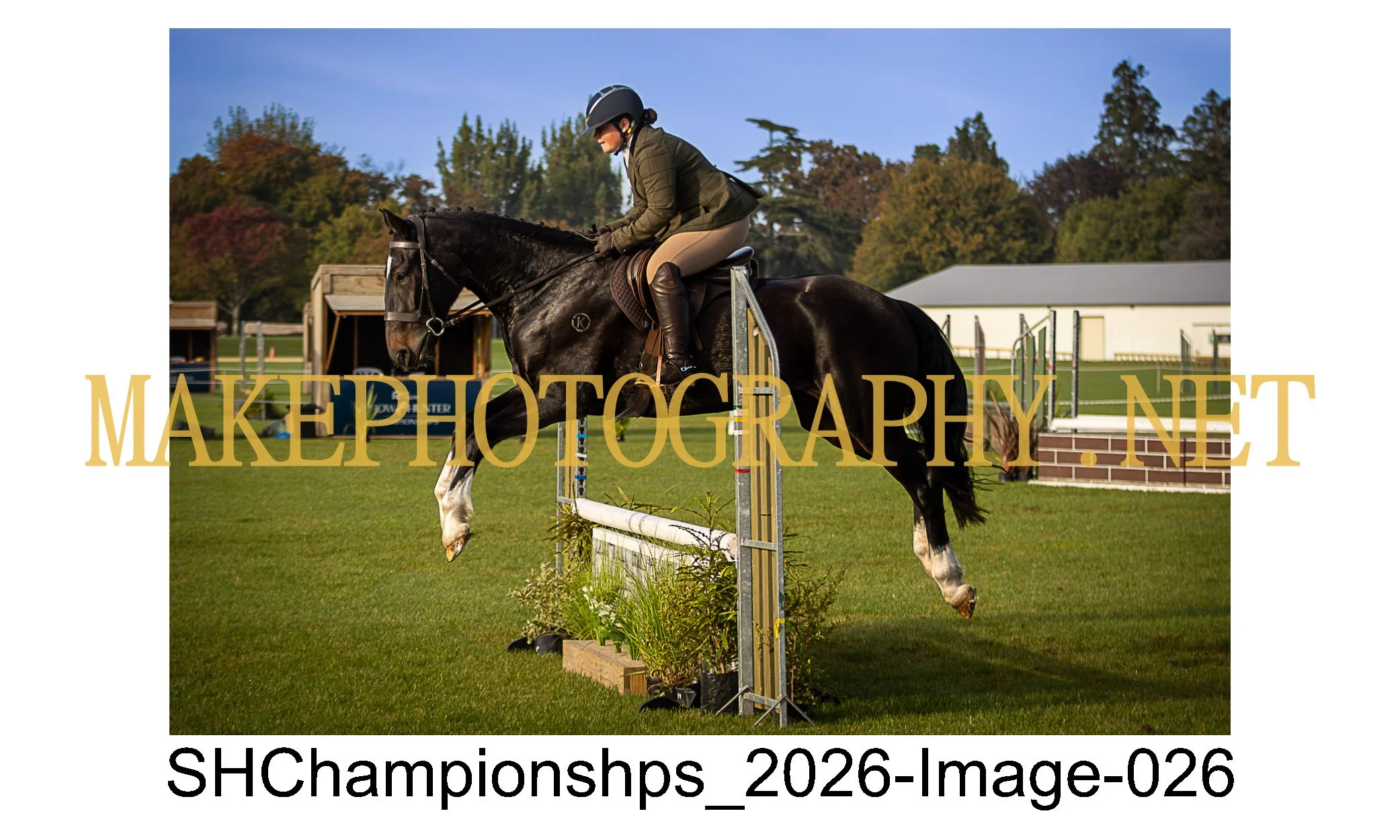 showhunter 2026-026.jpg