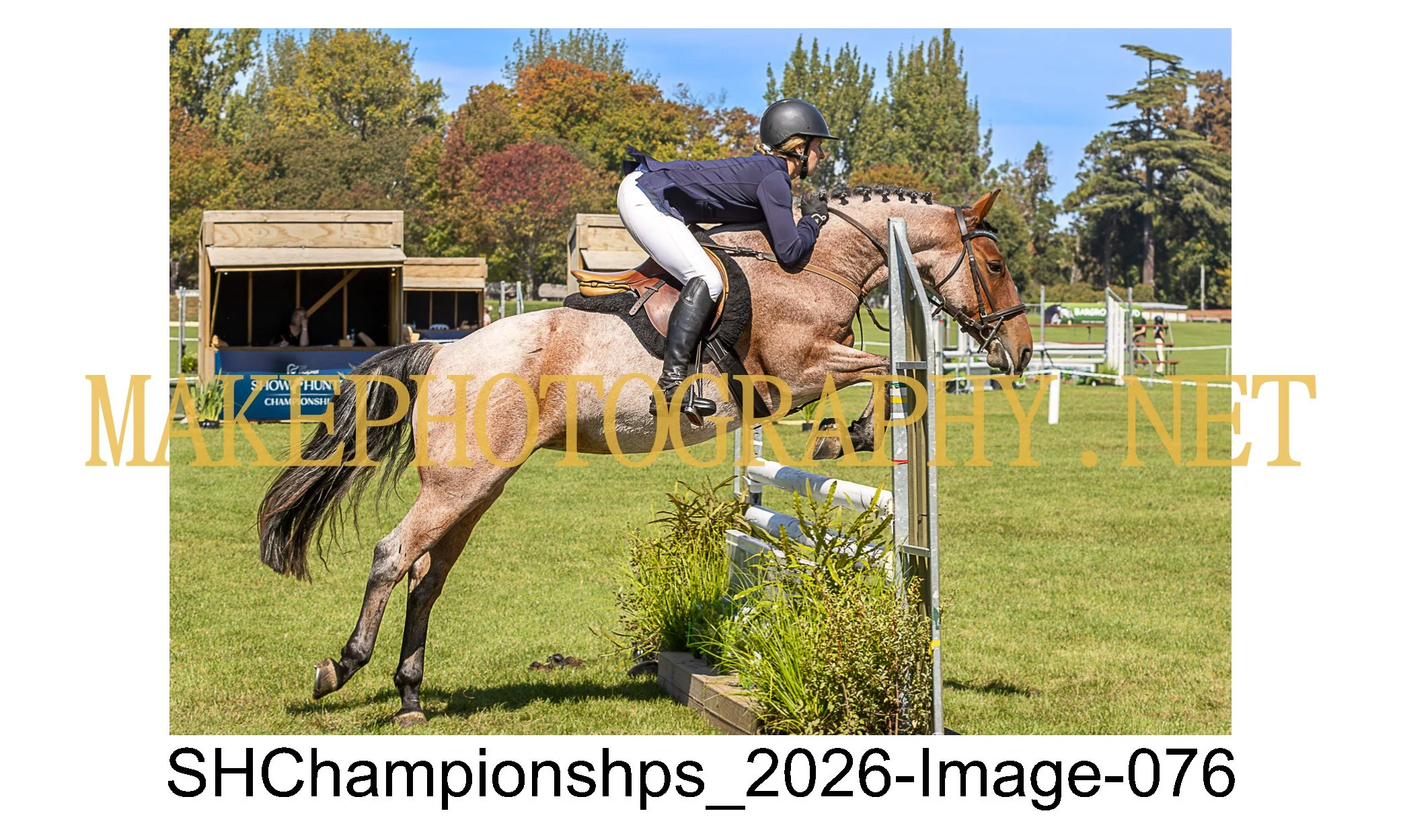 showhunter 2026-076.jpg