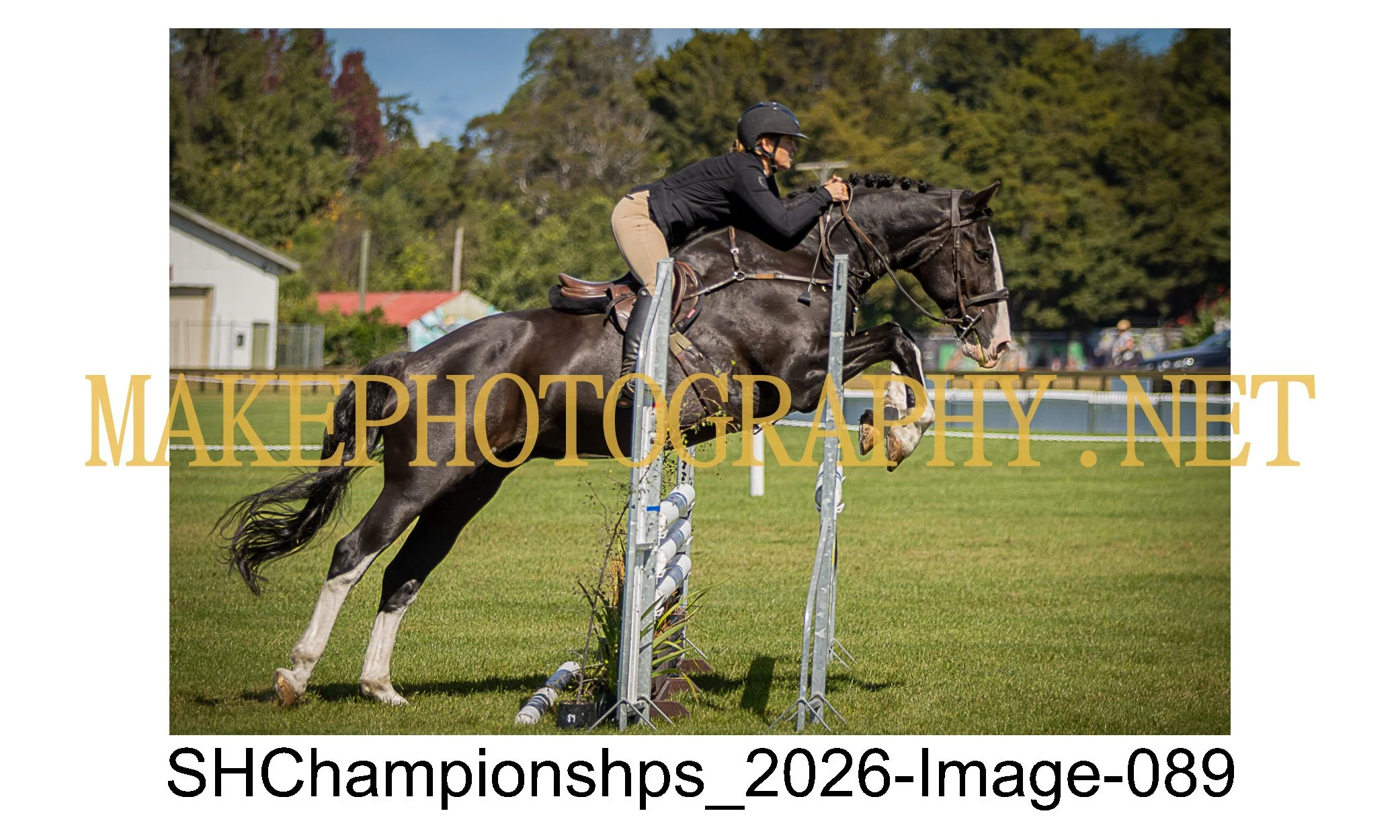 showhunter 2026-089.jpg