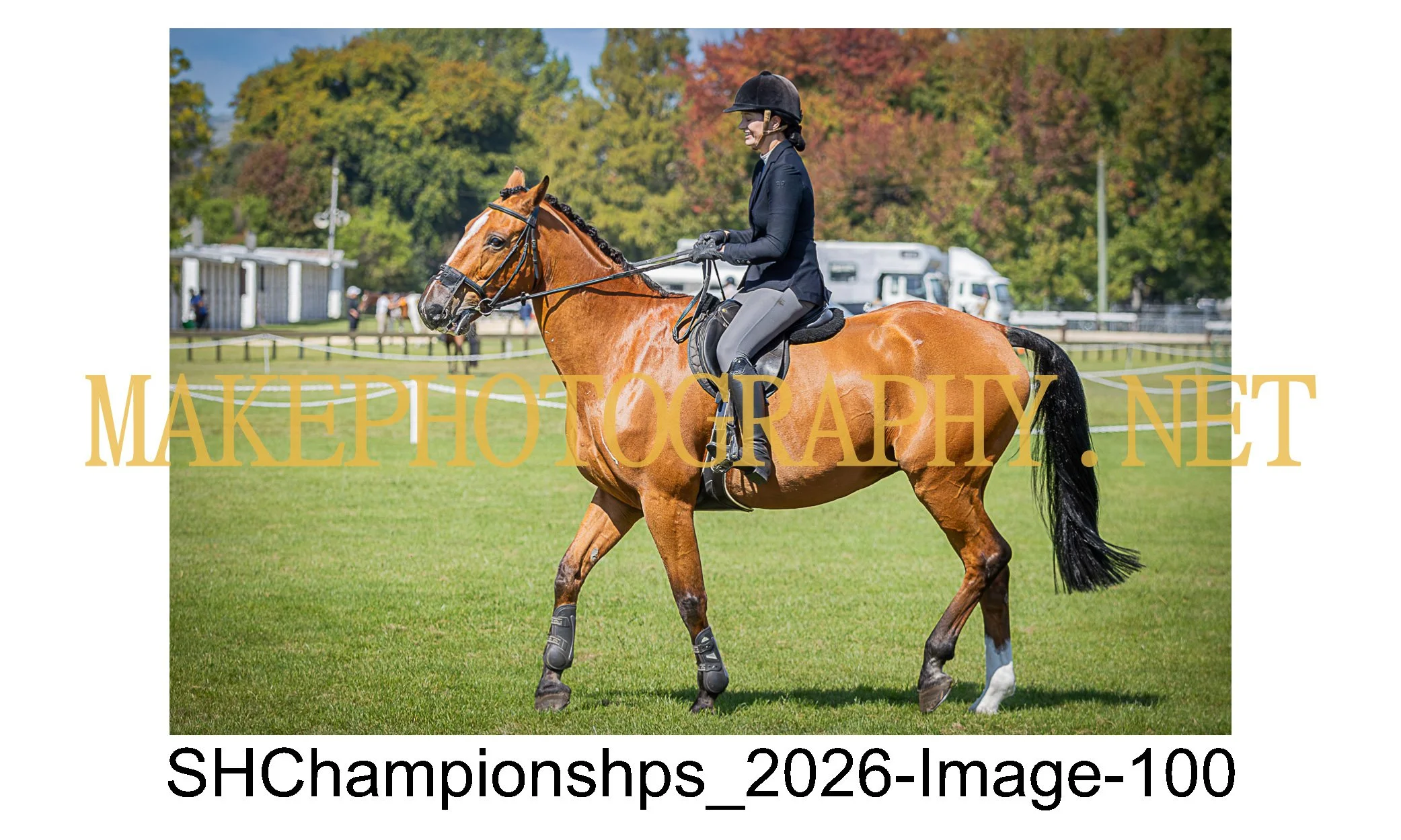 showhunter 2026-100.jpg