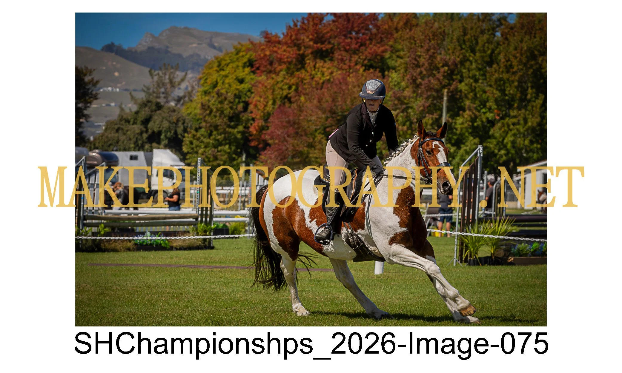 showhunter 2026-075.jpg