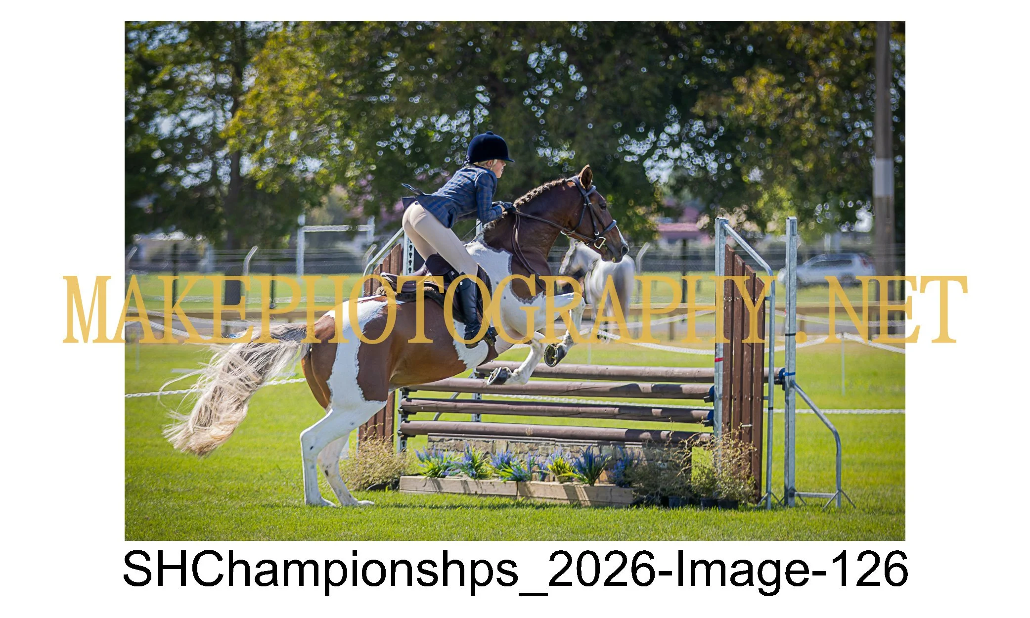 showhunter 2026-126.jpg