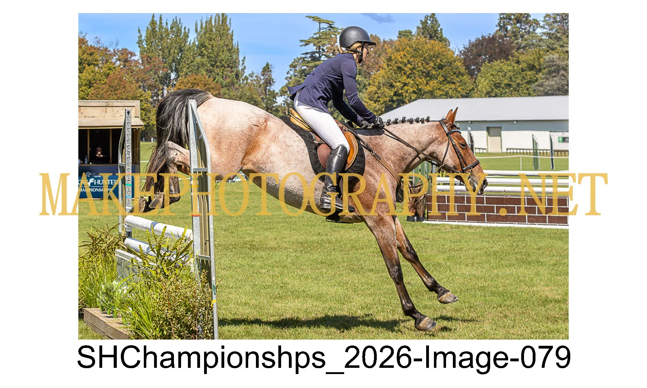 showhunter 2026-079.jpg