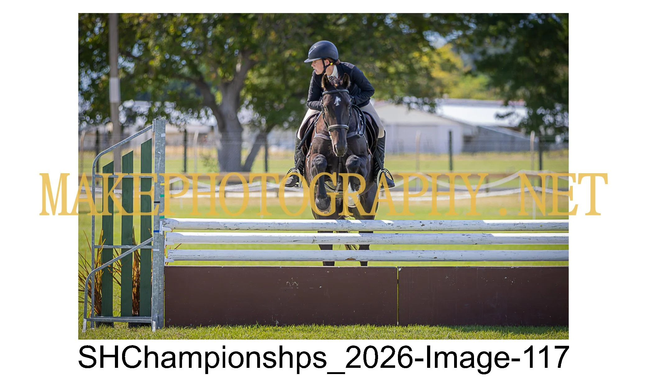 showhunter 2026-117.jpg