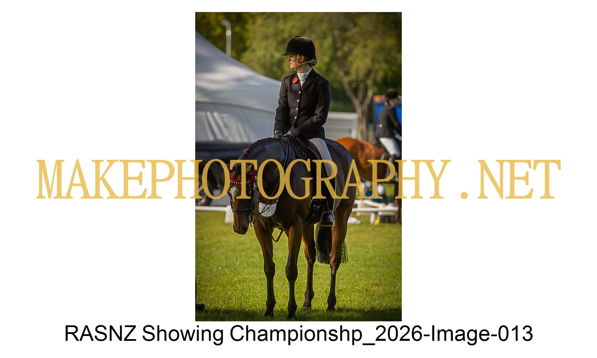 RASNZ Showing Championship 2026-13.jpg