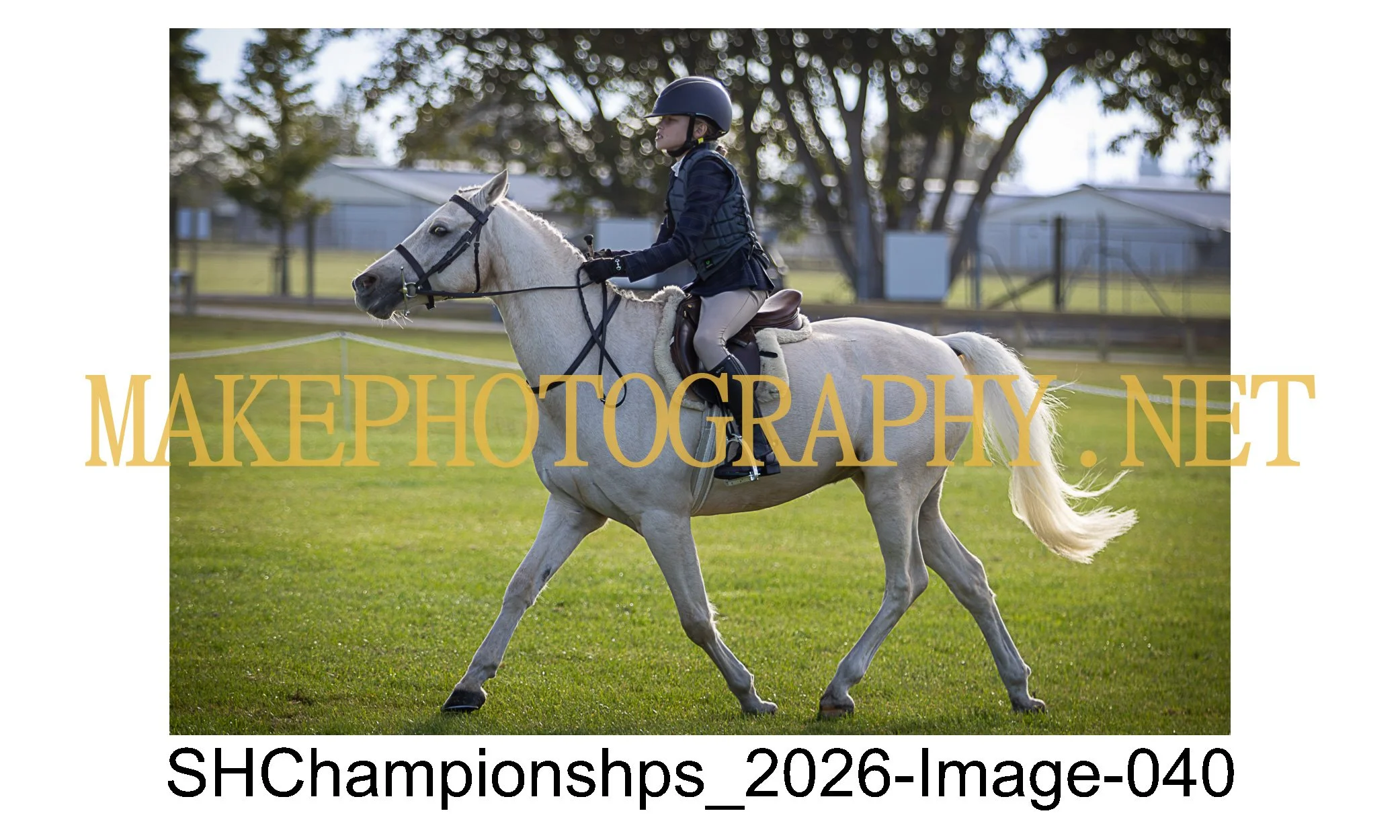 showhunter 2026-040.jpg