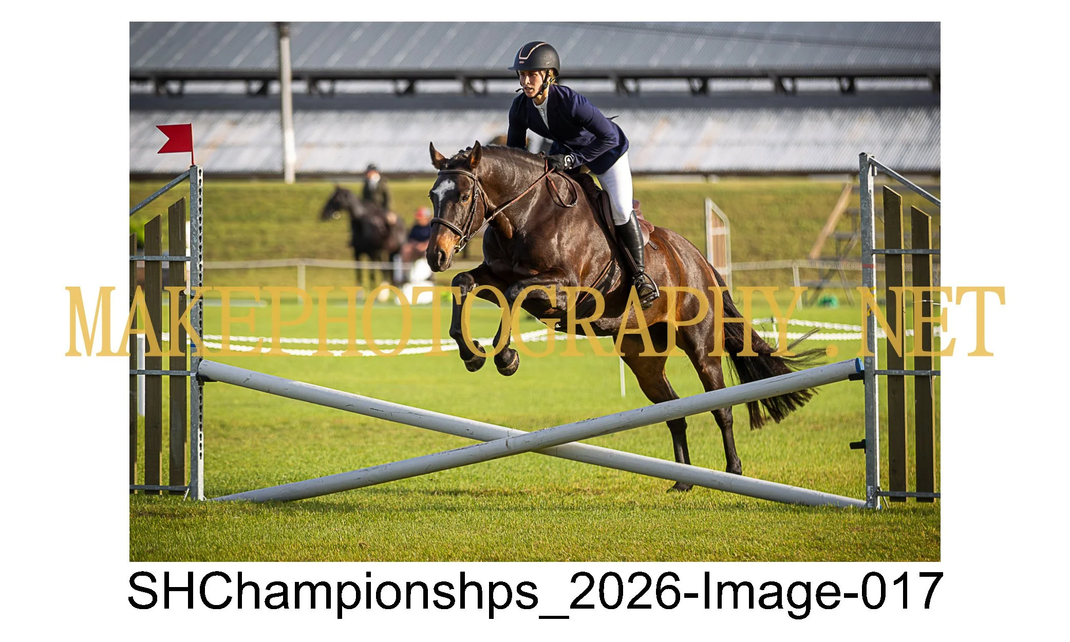 showhunter 2026-017.jpg