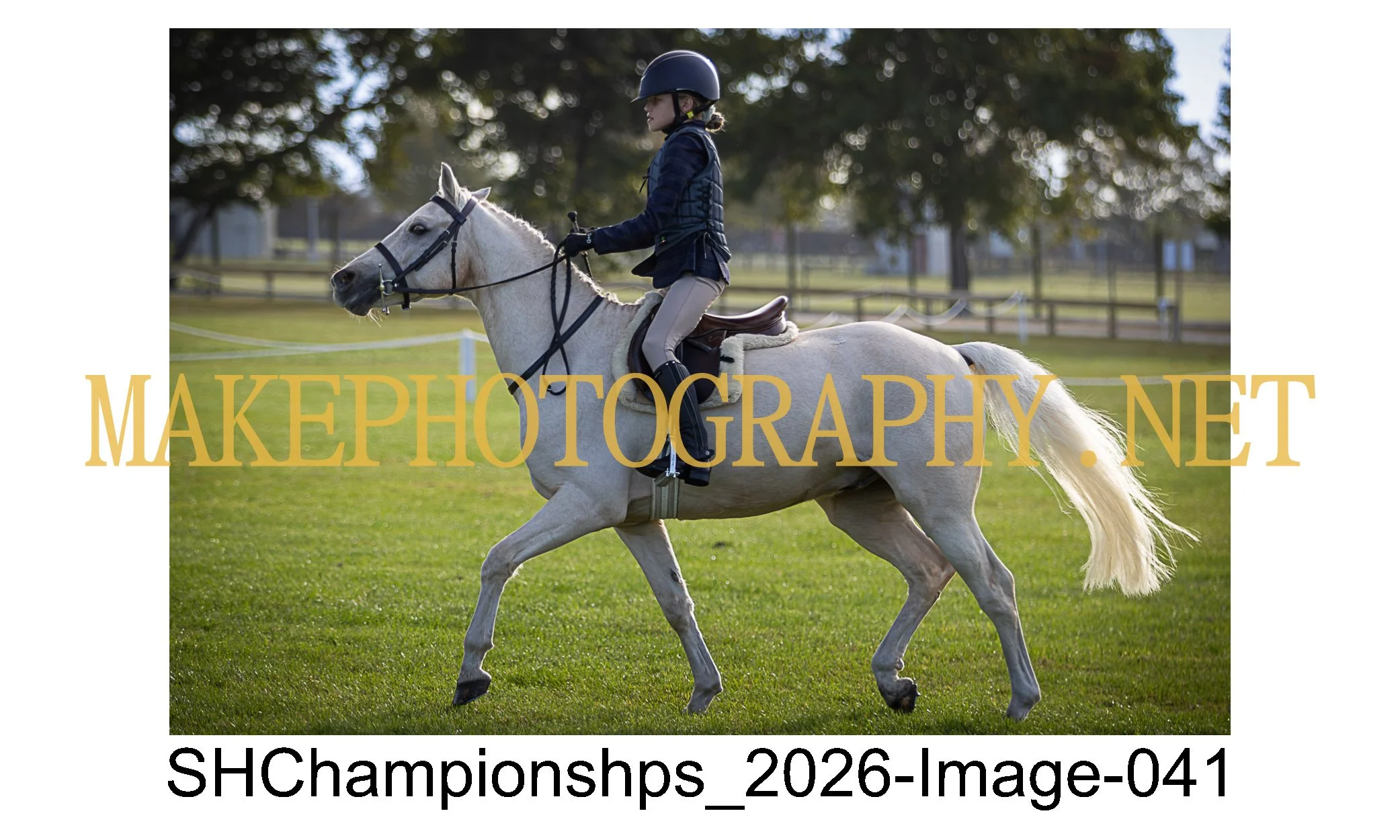 showhunter 2026-041.jpg