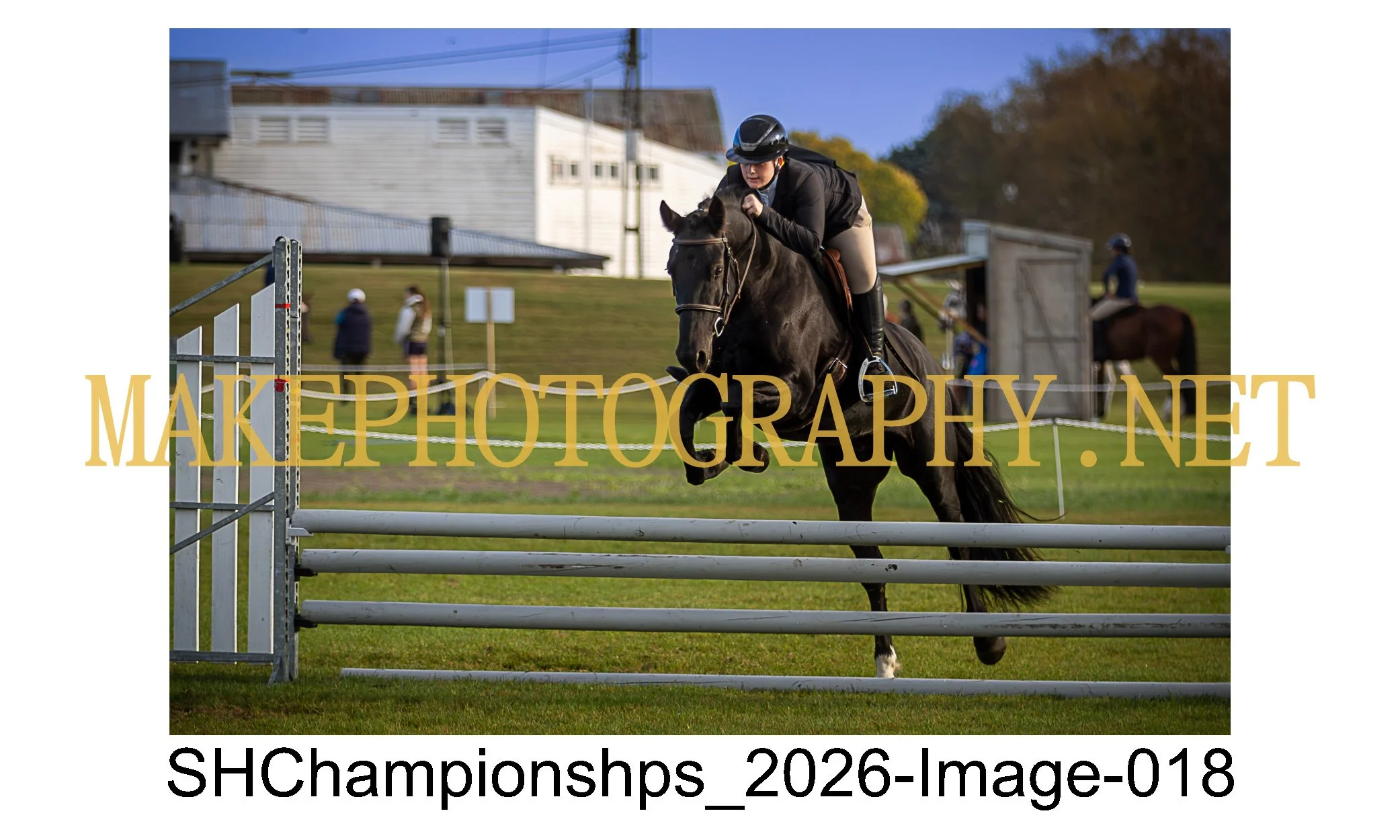 showhunter 2026-018.jpg