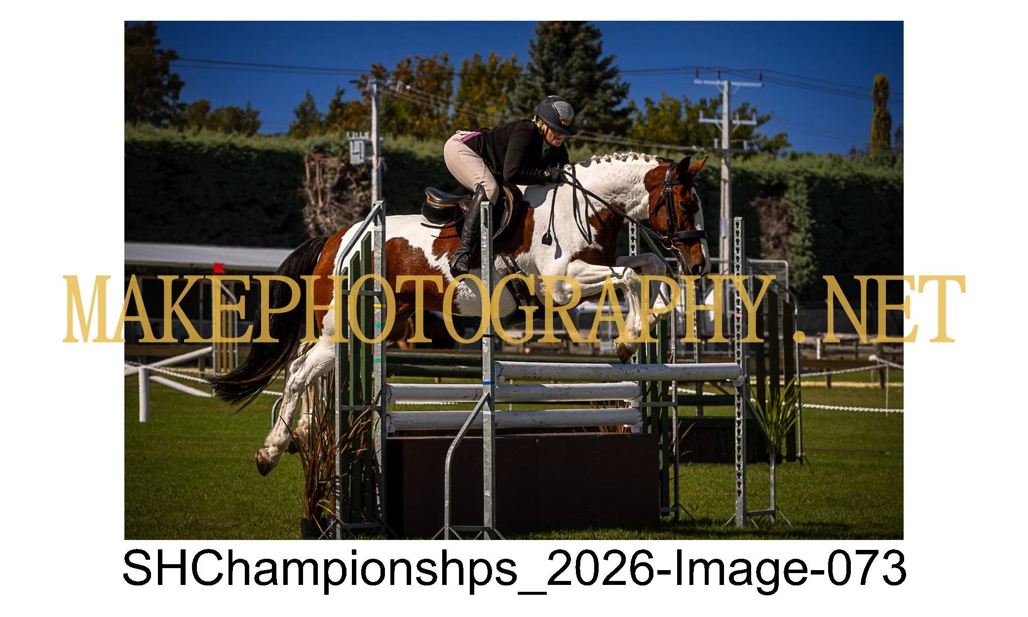 showhunter 2026-073.jpg