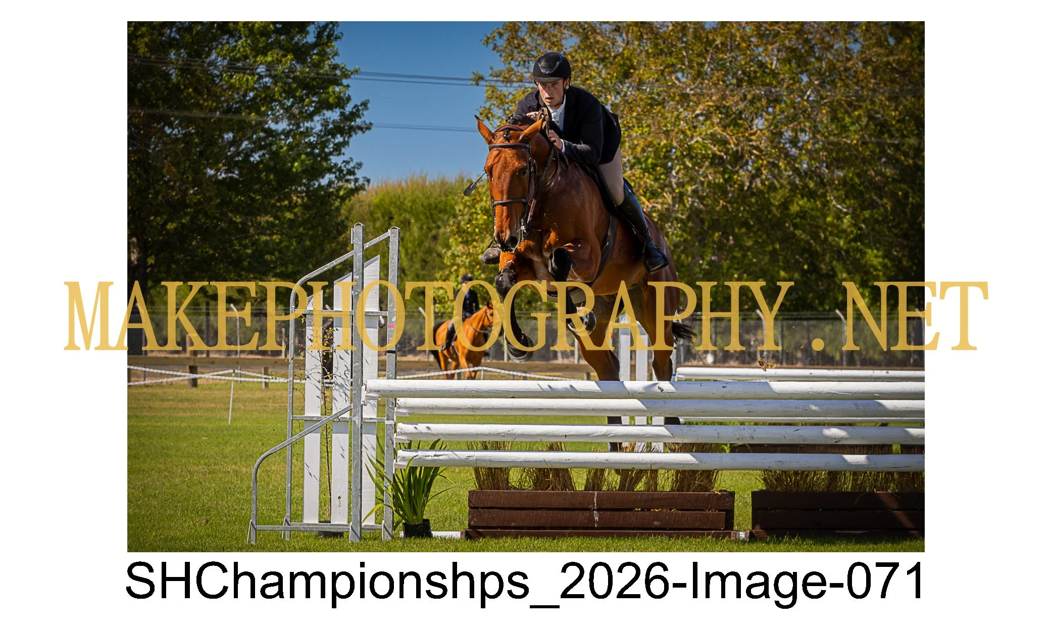 showhunter 2026-071.jpg