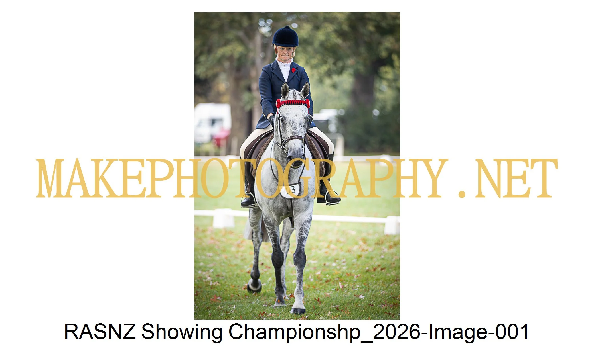 RASNZ Showing Championship 2026-01.jpg