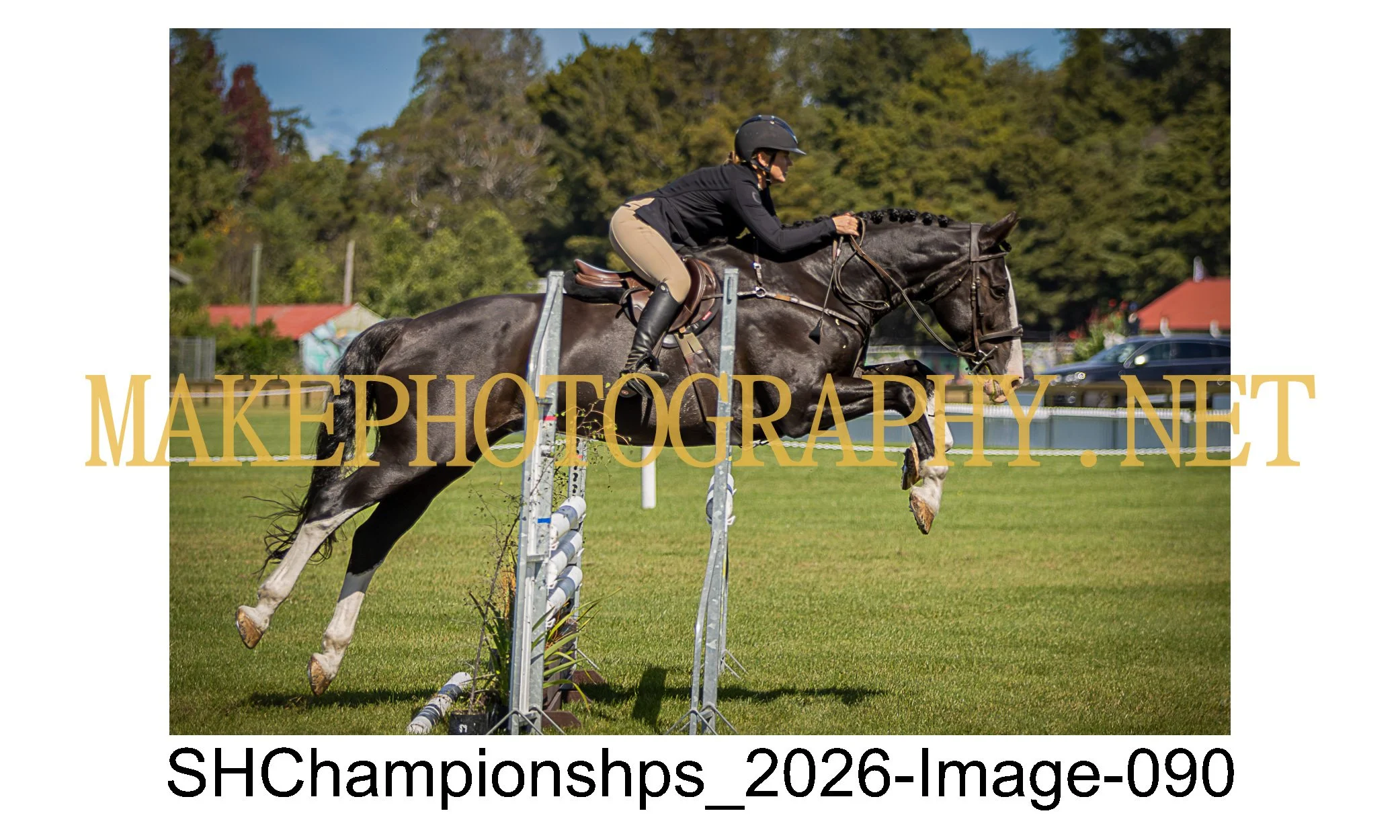 showhunter 2026-090.jpg