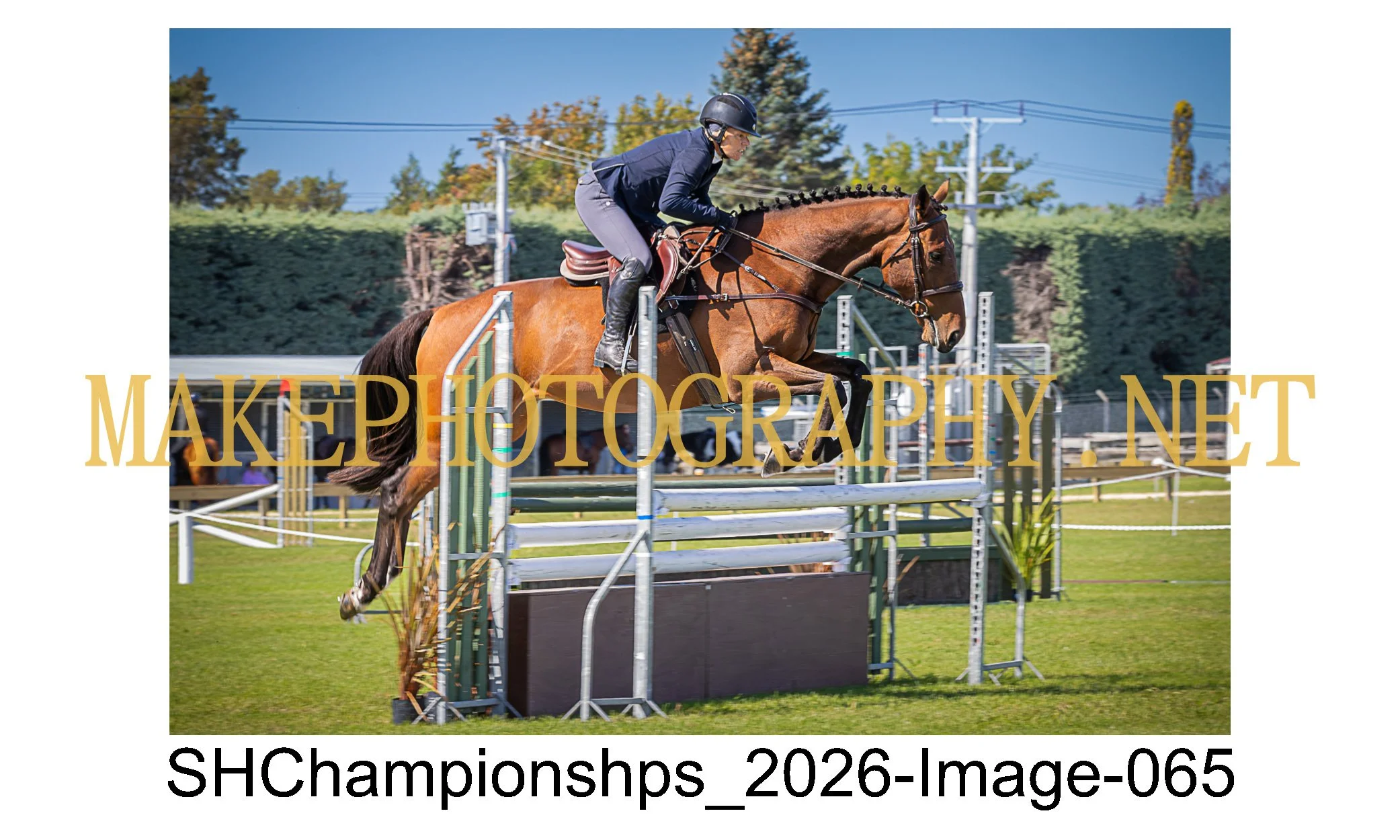 showhunter 2026-065.jpg