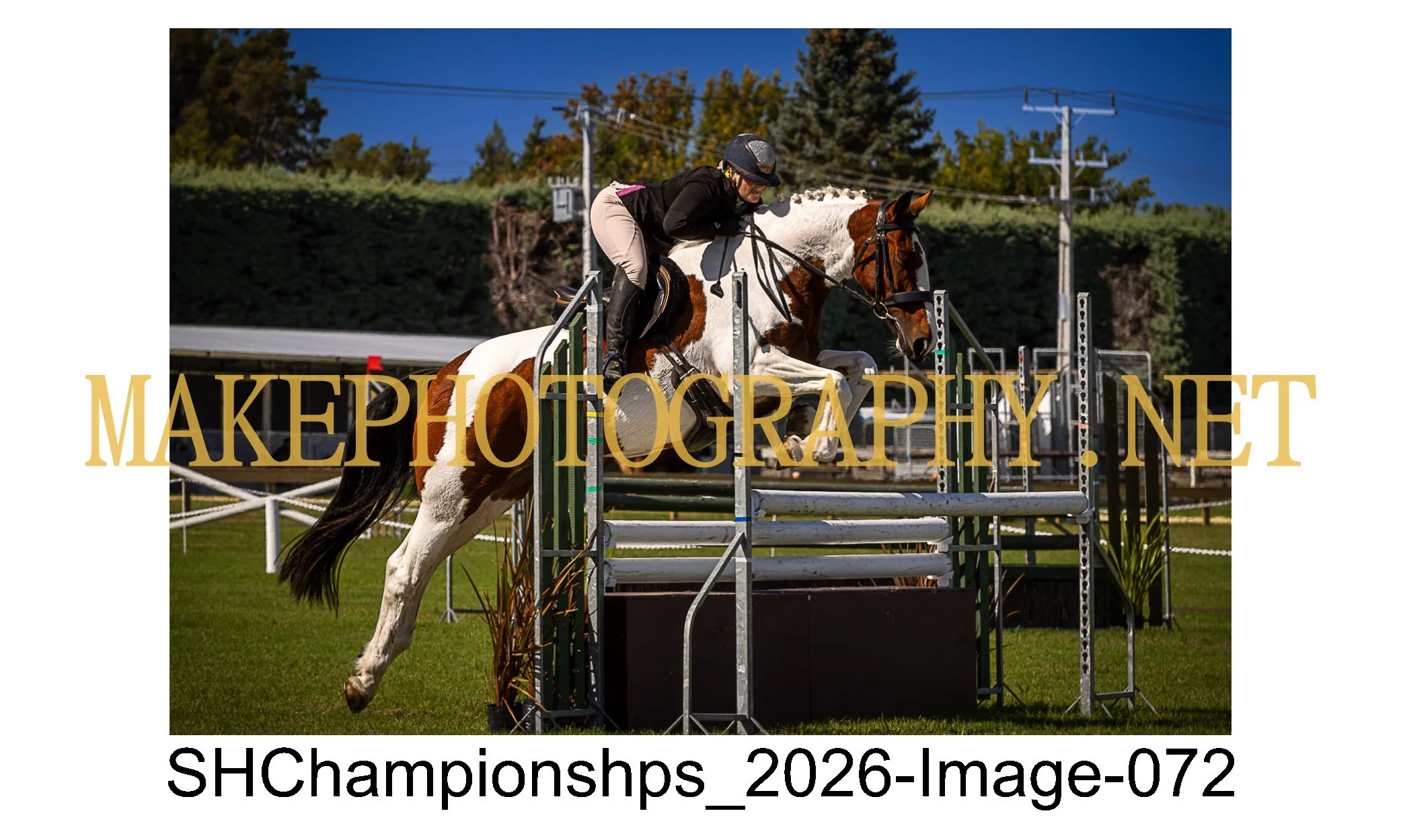 showhunter 2026-072.jpg