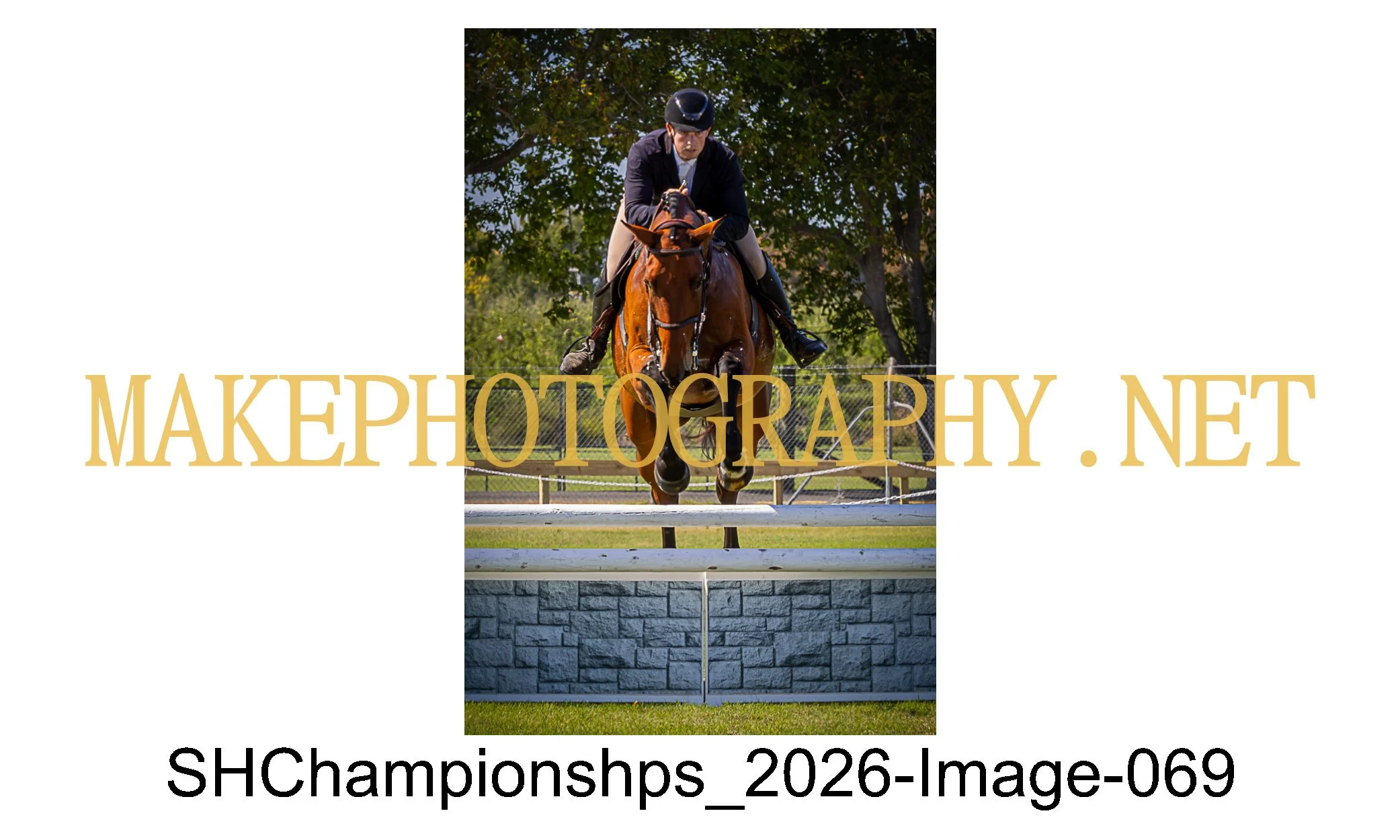 showhunter 2026-069.jpg