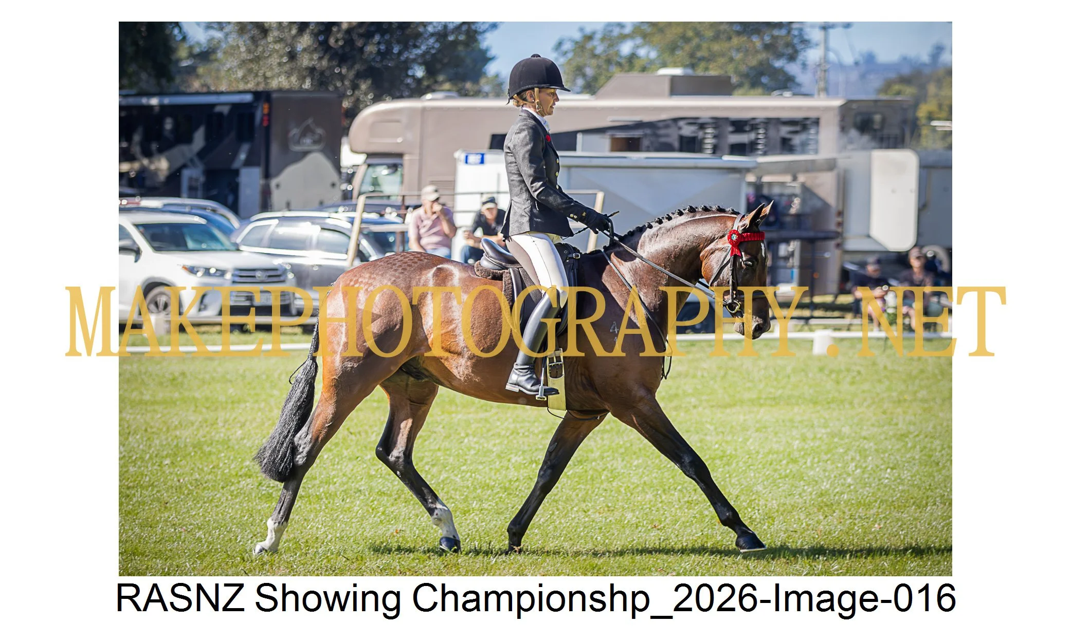 RASNZ Showing Championship 2026-16.jpg