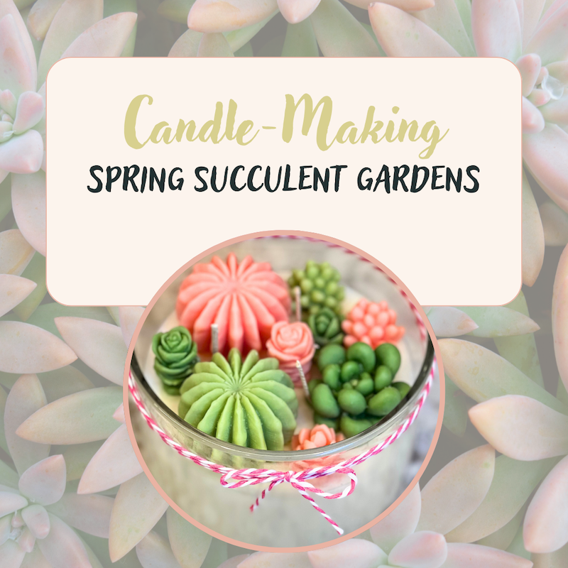 Candle-Making: Spring Succulent Gardens