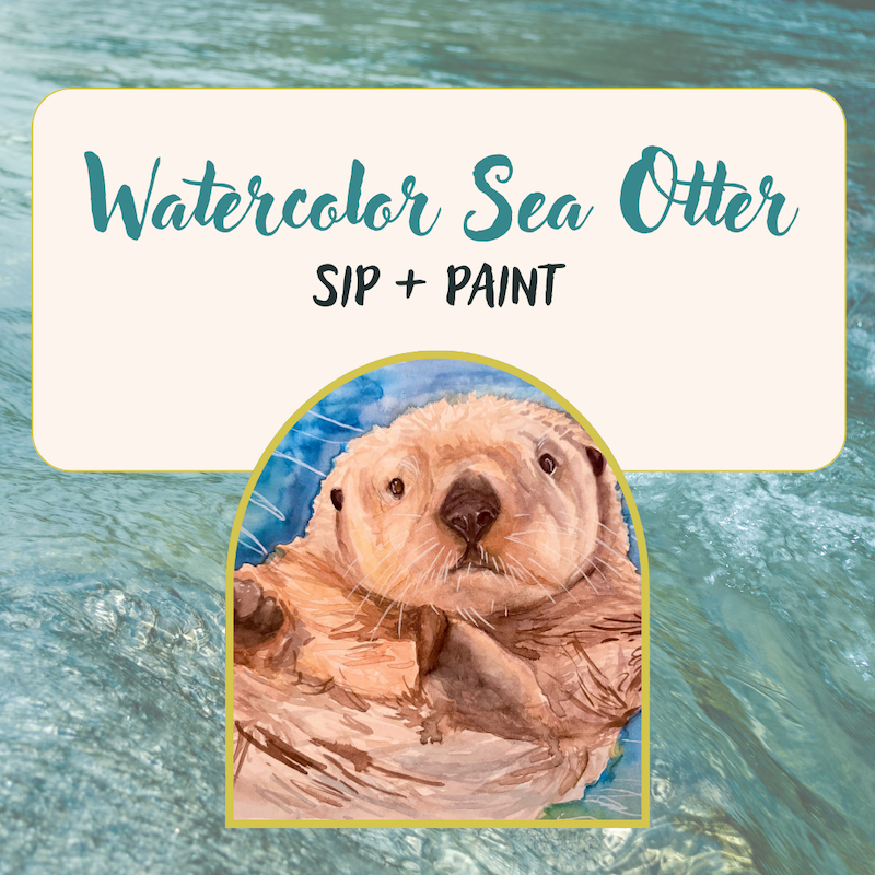 Watercolor Sea Otter: Sip + Paint
