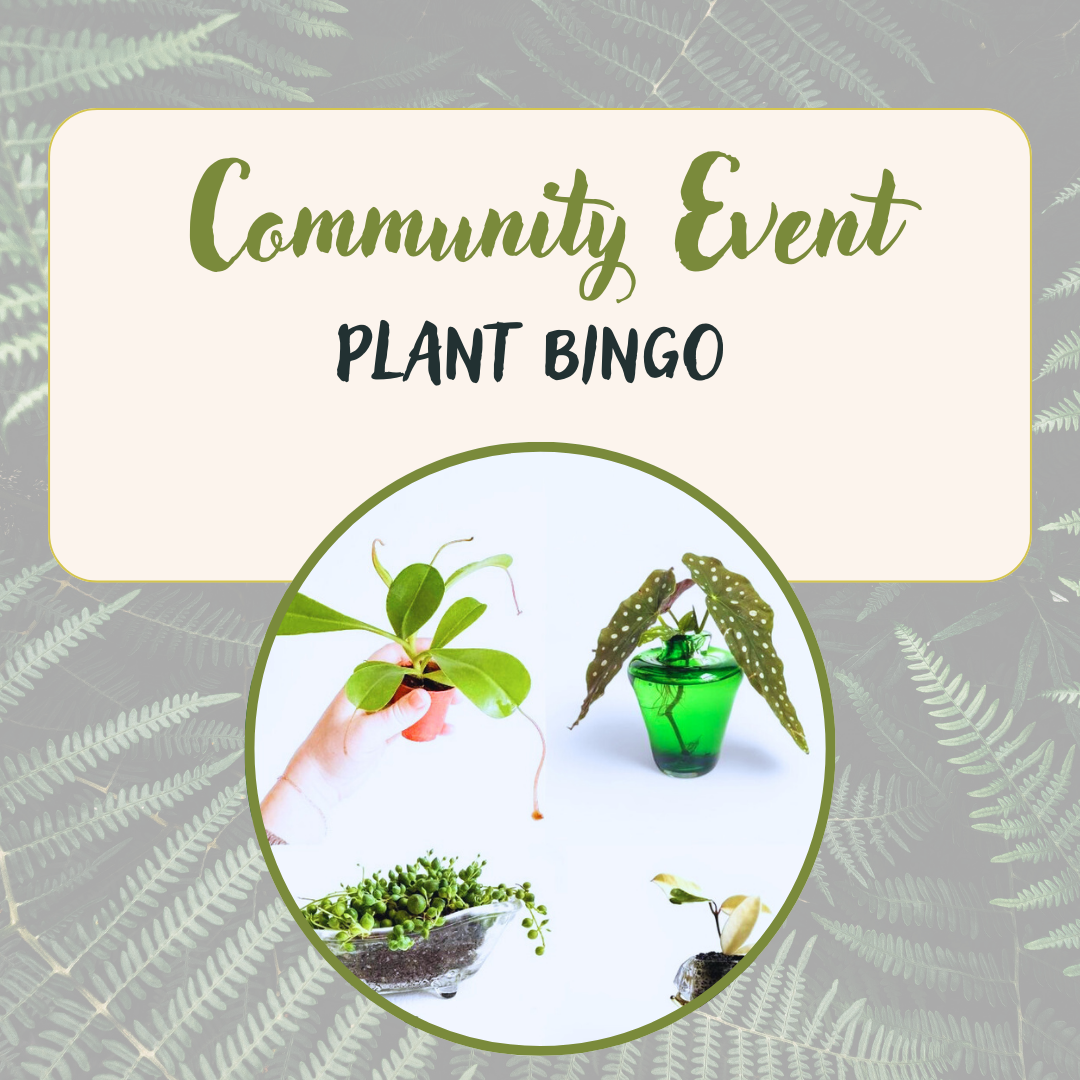 Plant Bingo with Reclaimed Roots