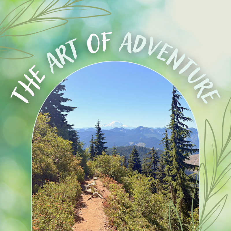 Sea Kayak + Art Adventure