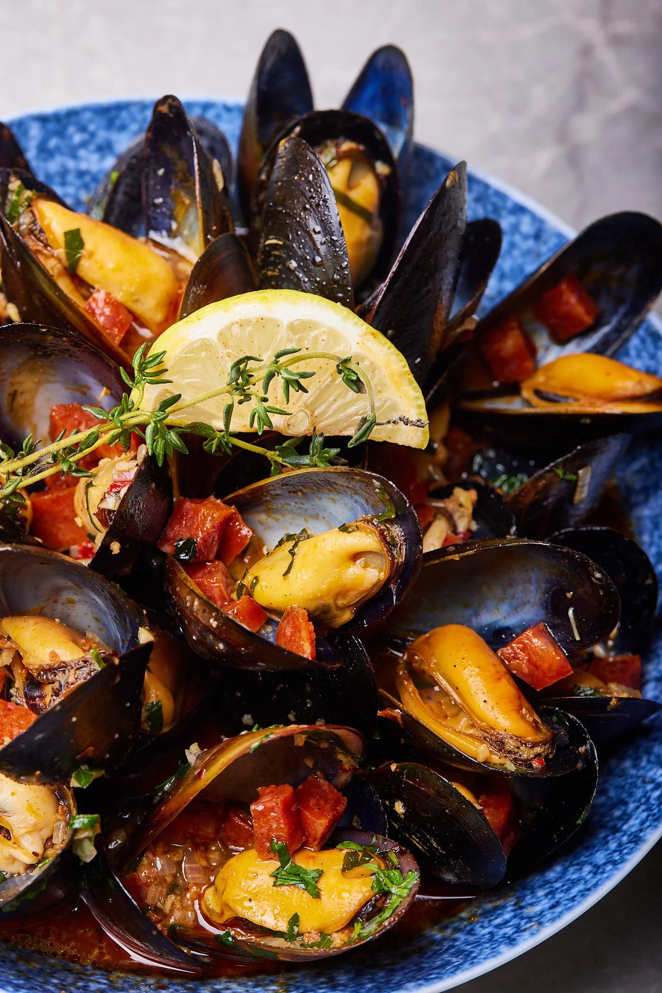 Hawk&Aster April1395.jpg