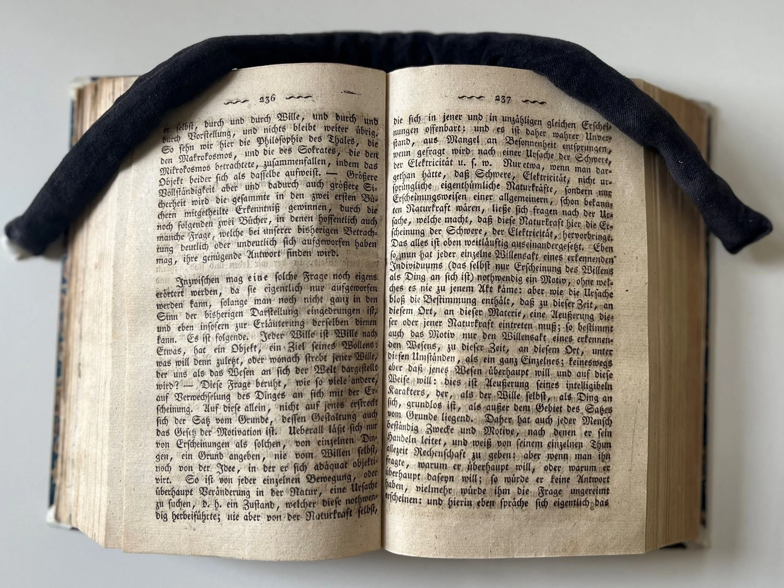 Ultimate truths are beyond human grasp, yet we continue to reach for them – Arthur Schopenhauer’s answer to the final metaphysical question