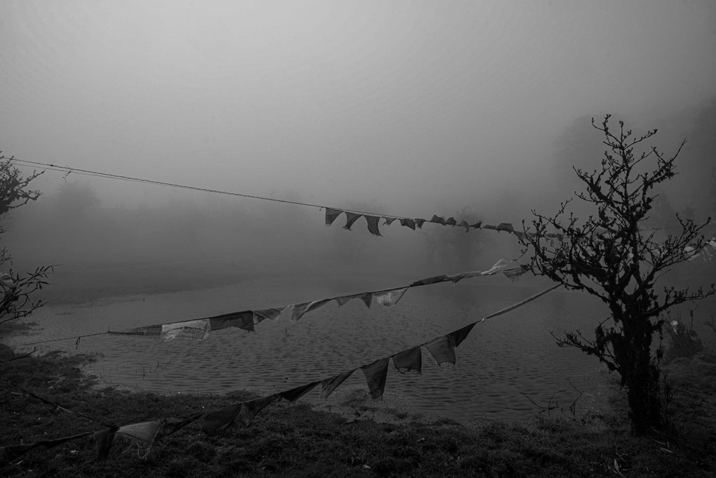 1B20A02D-E3E0-42C8-9372-BE23DCFD9C85_1_100_o copy 2.jpg