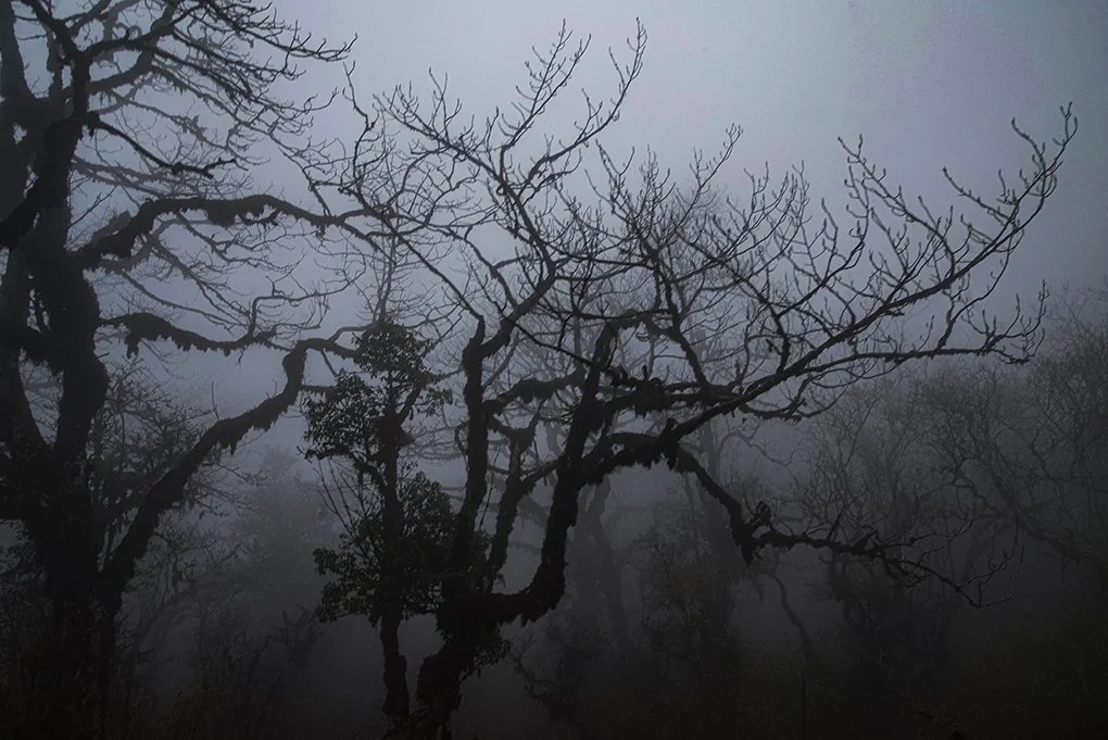 468A4AB8-EB2A-4CF8-BB16-68ADF894702D_1_100_o copy 2.jpg