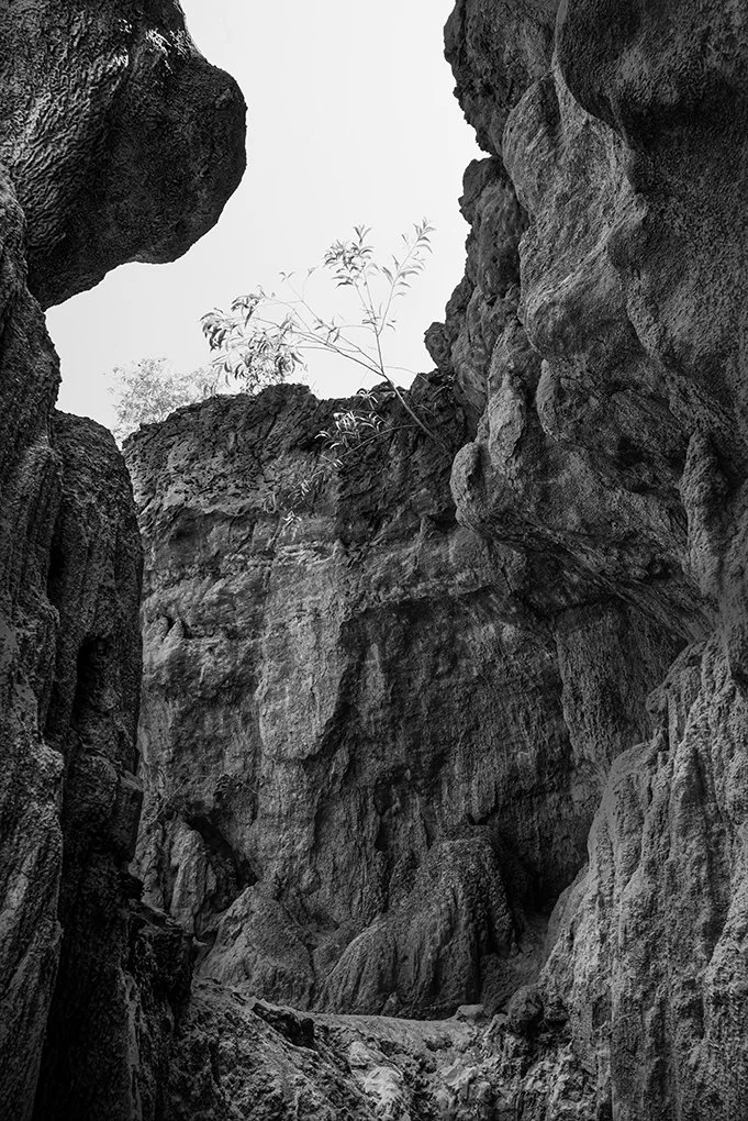 E7AC4C2D-1CE0-413F-8BC2-7804DDF9A0CB copy 2.jpg