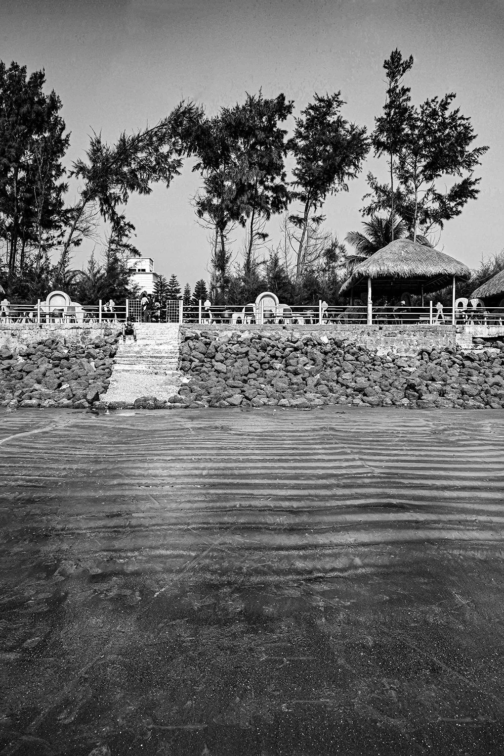 64499269-B0B6-4710-95C9-5D440D1F5B3B_1_100_o copy 2.jpg