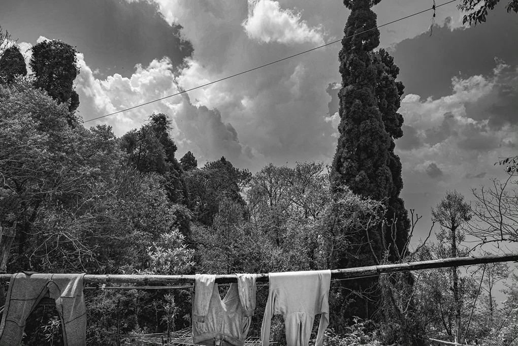 B19298FF-67B3-4773-8477-437D3A7B8C04_1_100_o copy 2.jpg