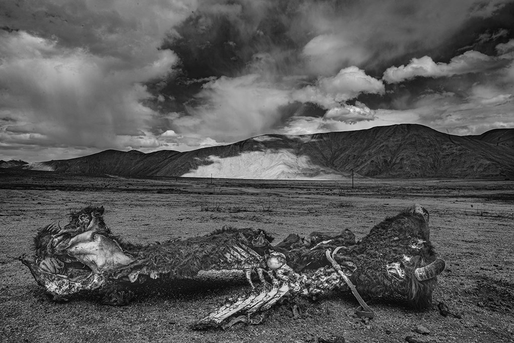 27370AB3-46EA-4980-9E01-3A16D0642392 copy 2.jpg