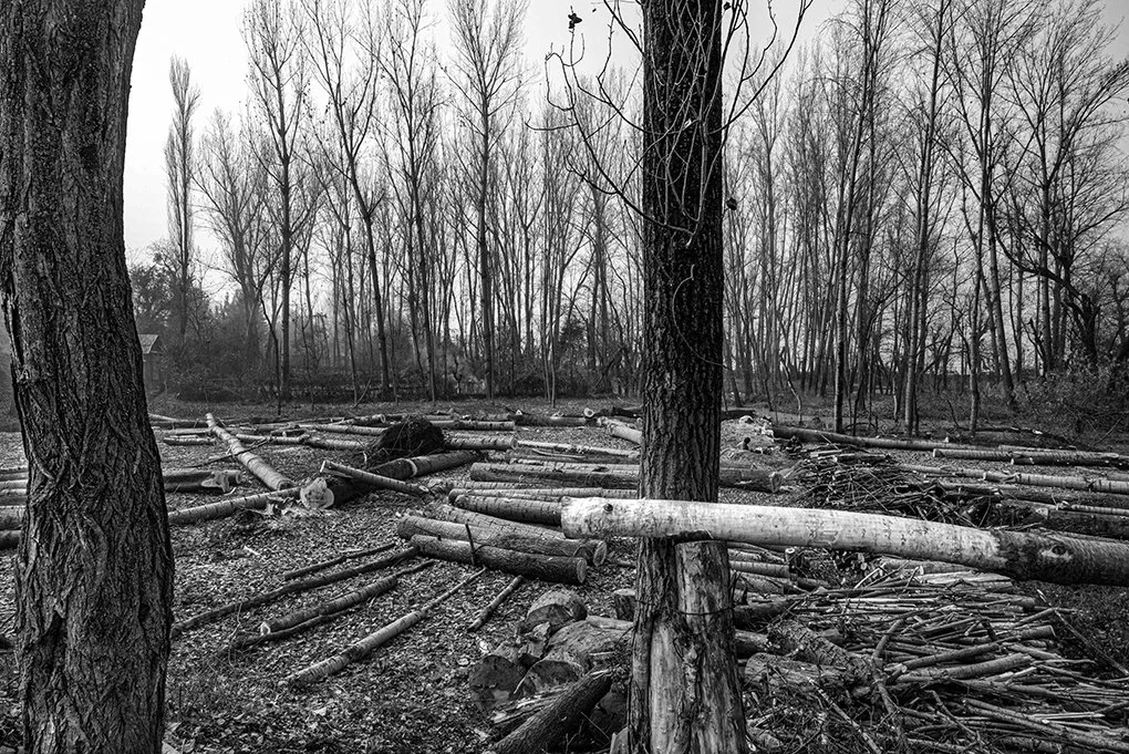 9A40AC40-7BE4-40FA-8118-D3FEDE2CEC57_1_100_o copy 2.jpg