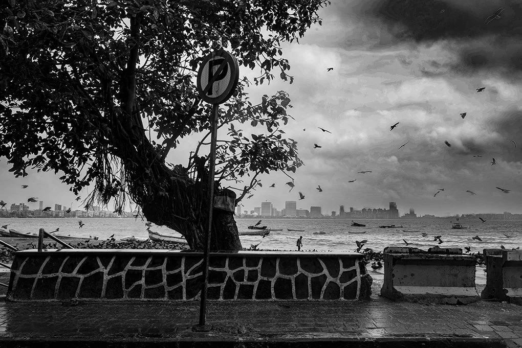 D65D9BB9-EA00-400C-8F72-14DA3F6101CB_1_100_o copy 2.jpg